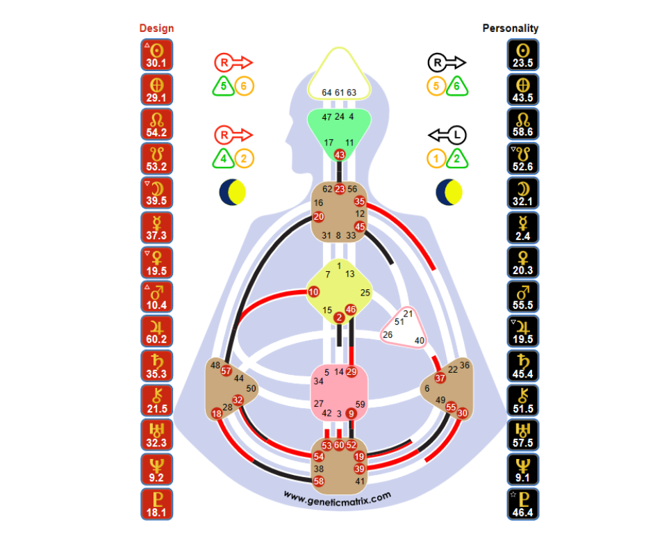 A diagram illustrating a human body with various numbered sections, symbols, and numerical values related to personality and design traits, with left and right side columns showing zodiac symbols and numbers and small colored icons.