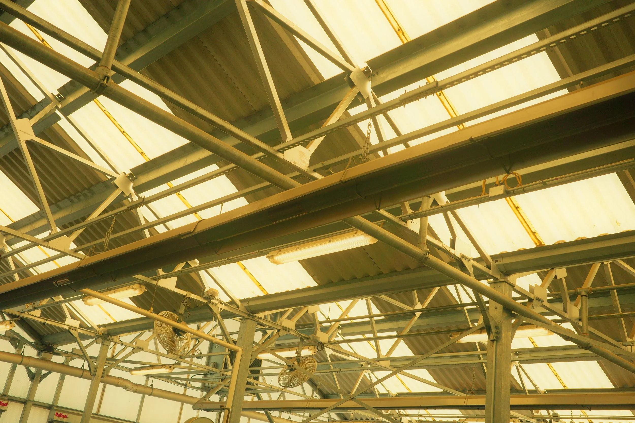 [ricoh][xpro][line]skylight clutter.jpeg