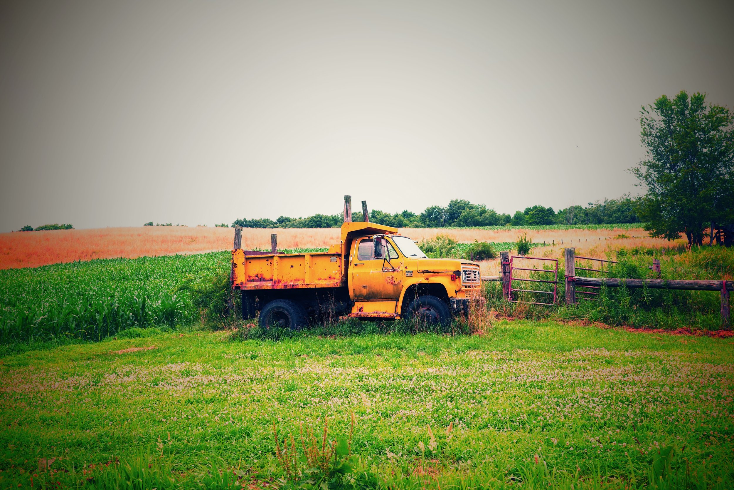 [vehicle][ricoh][xpro]field truck.jpeg