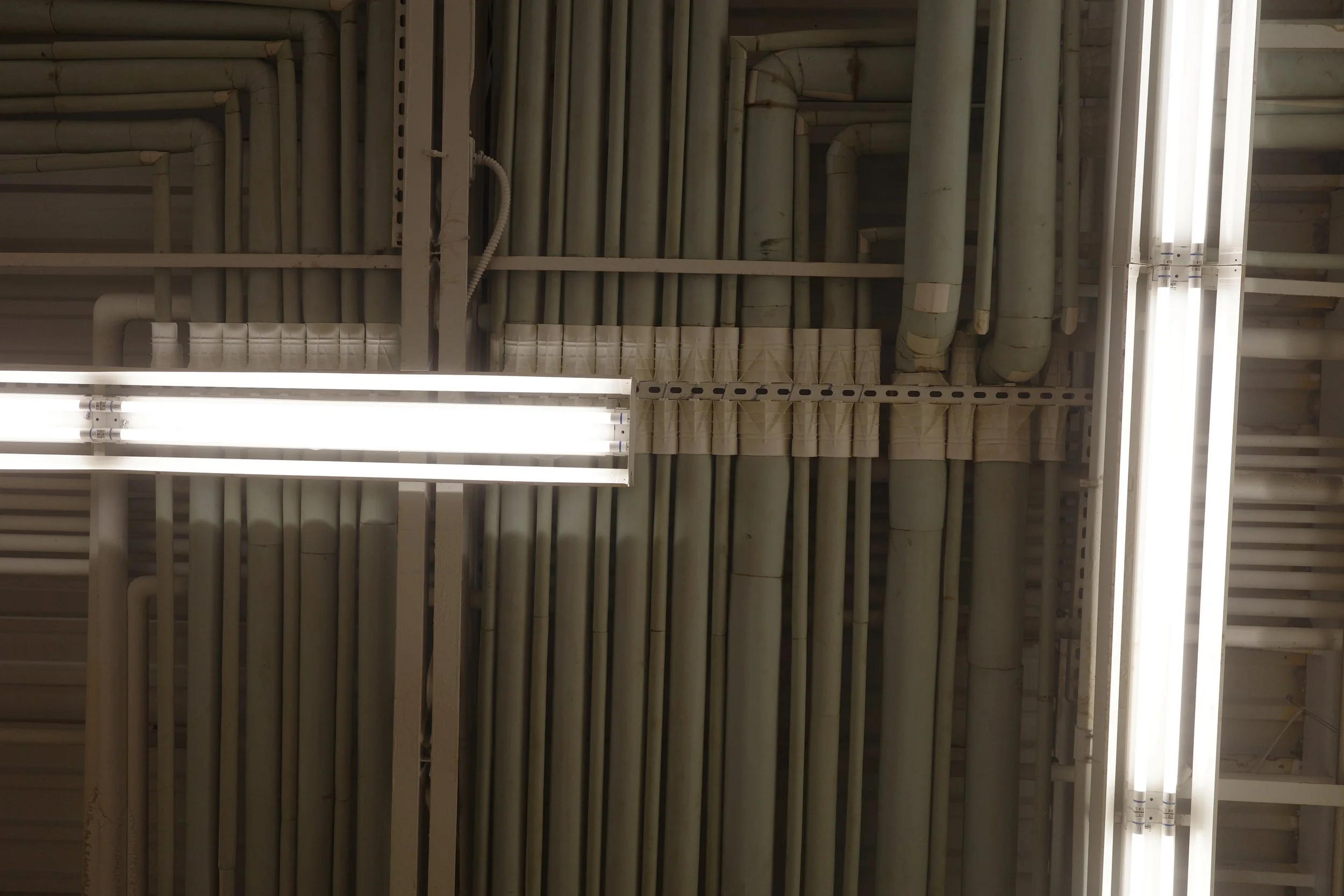 [line][ricoh][std]blue pipes.jpeg