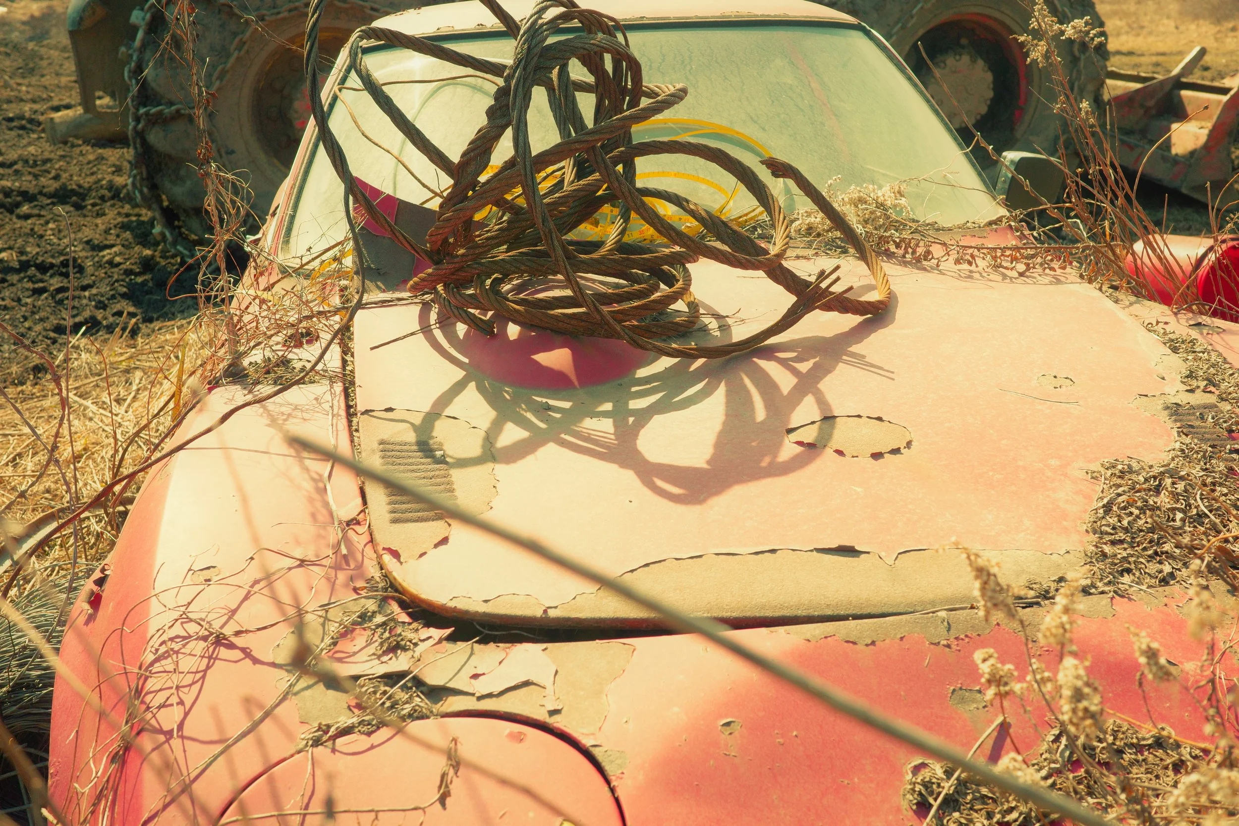 [ricoh][vehicle][xpro]steel wire on car.jpeg