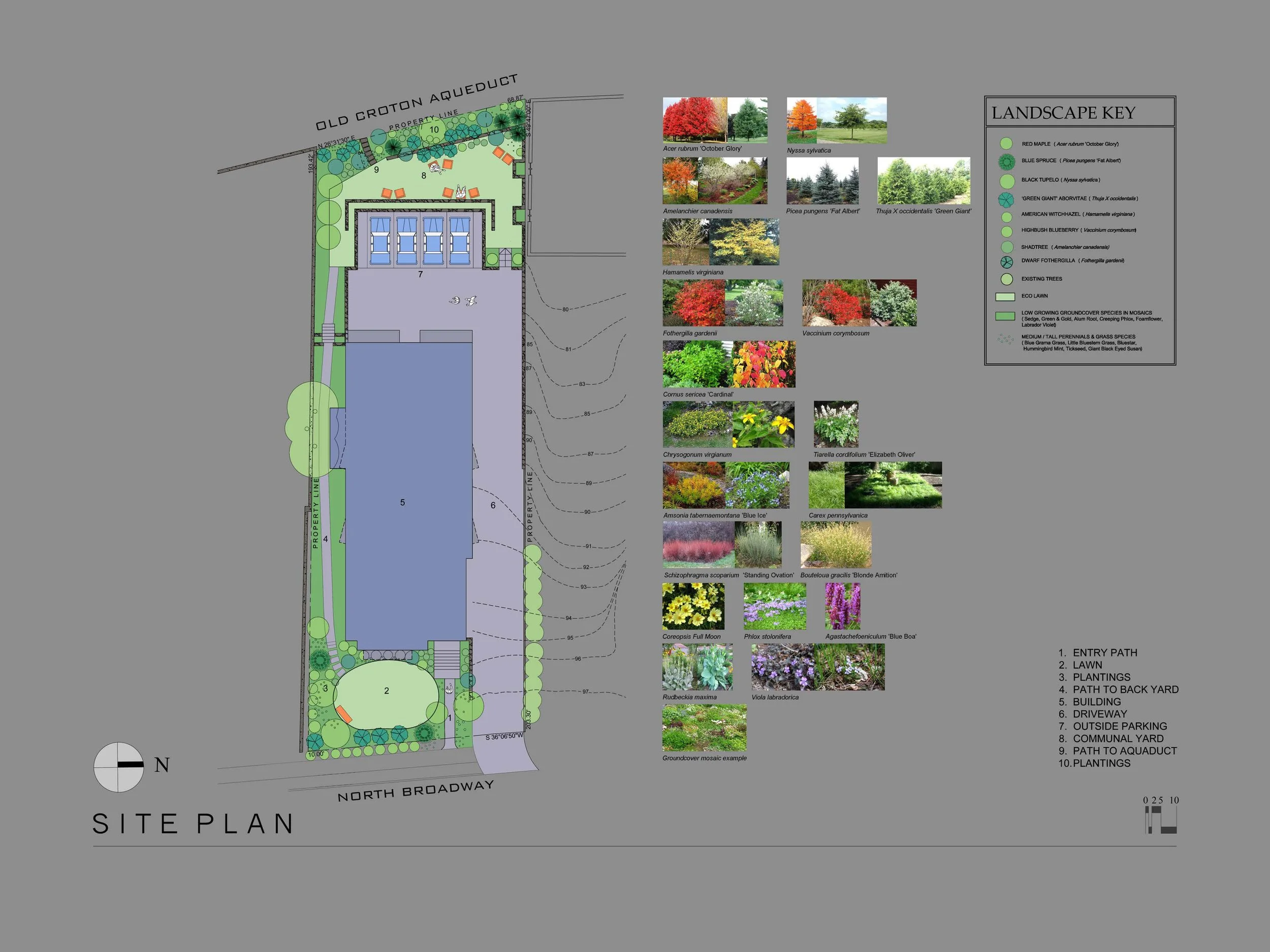 Site Plan.jpg