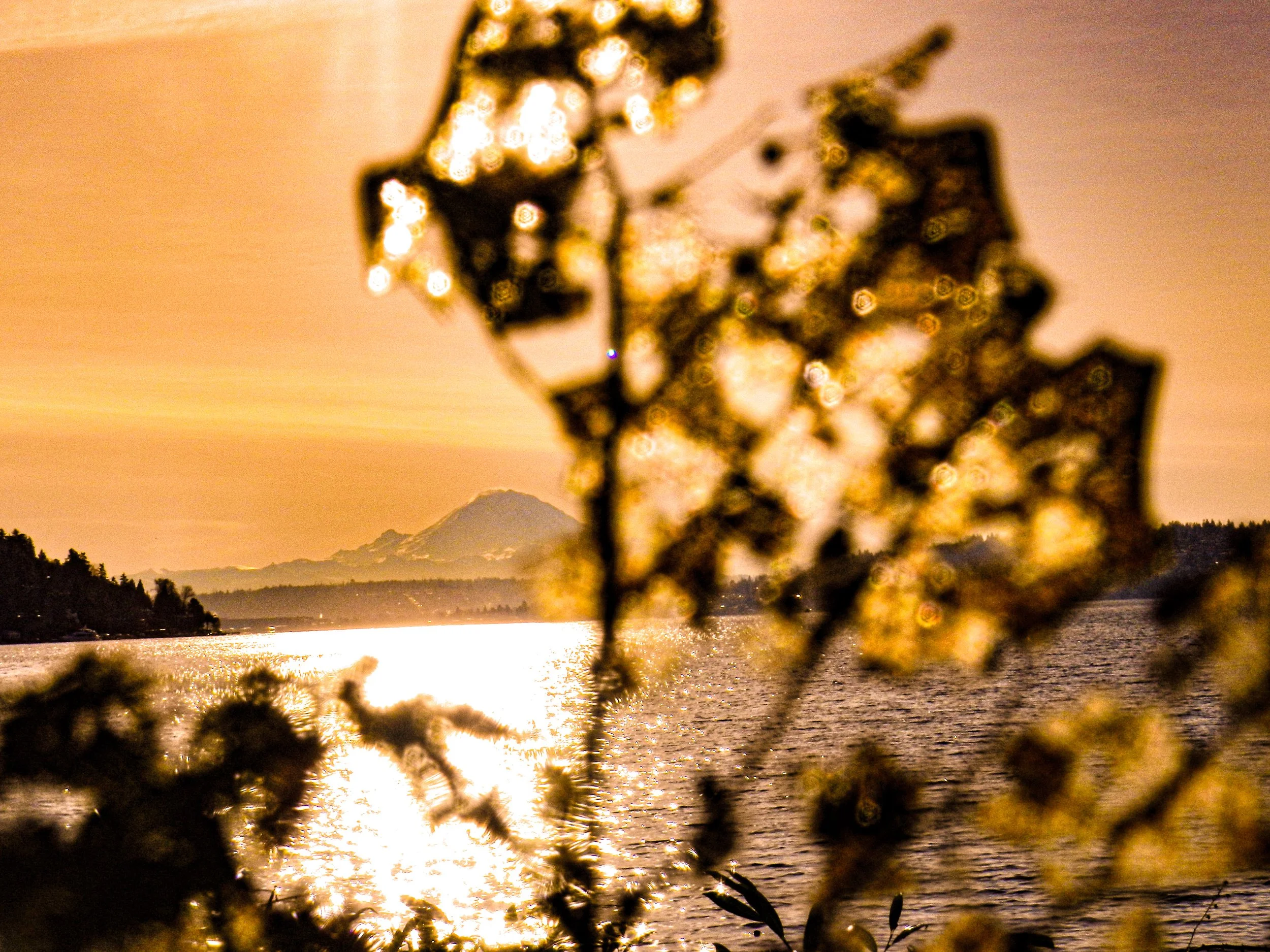 What the Earth Knows