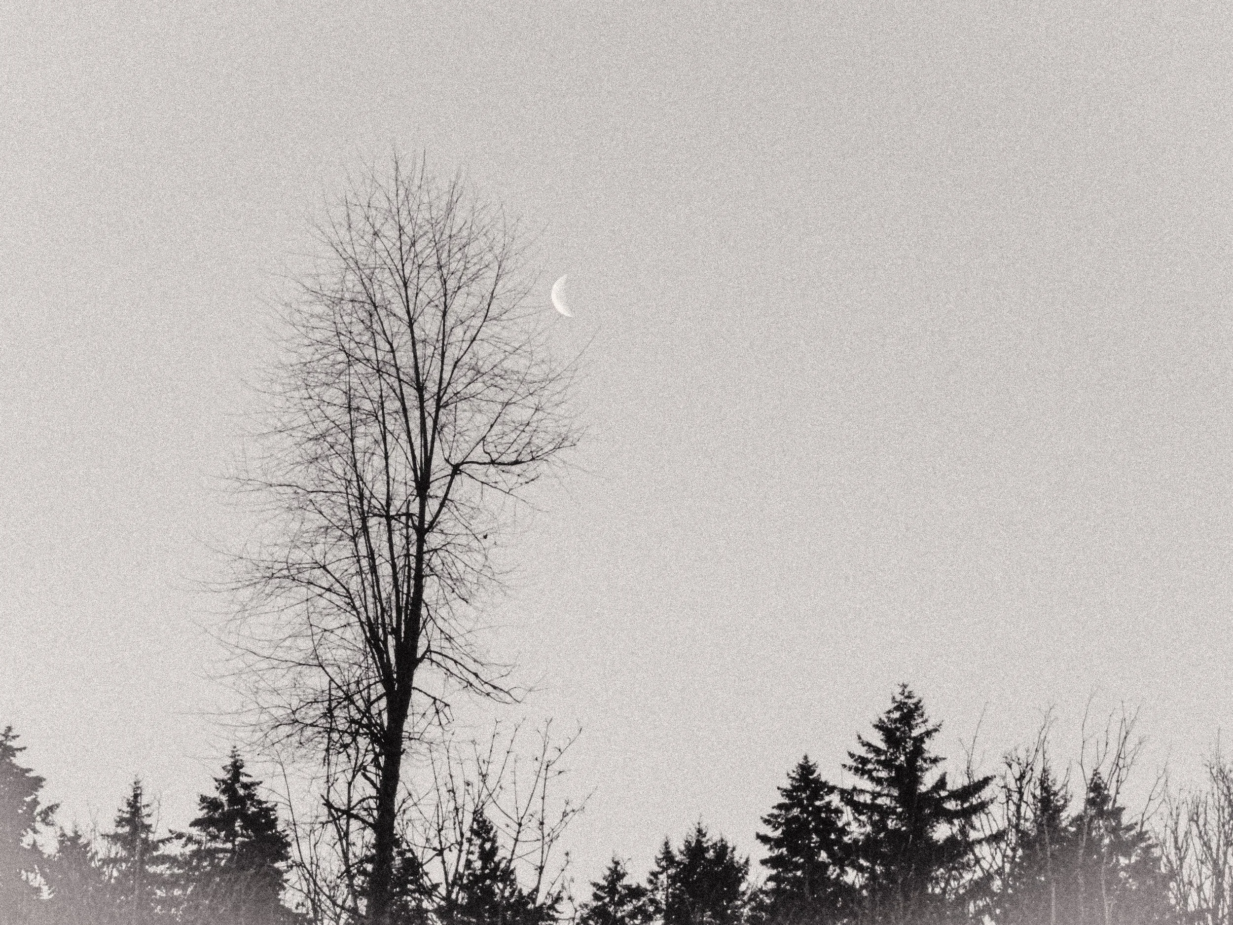 Clips and interviews