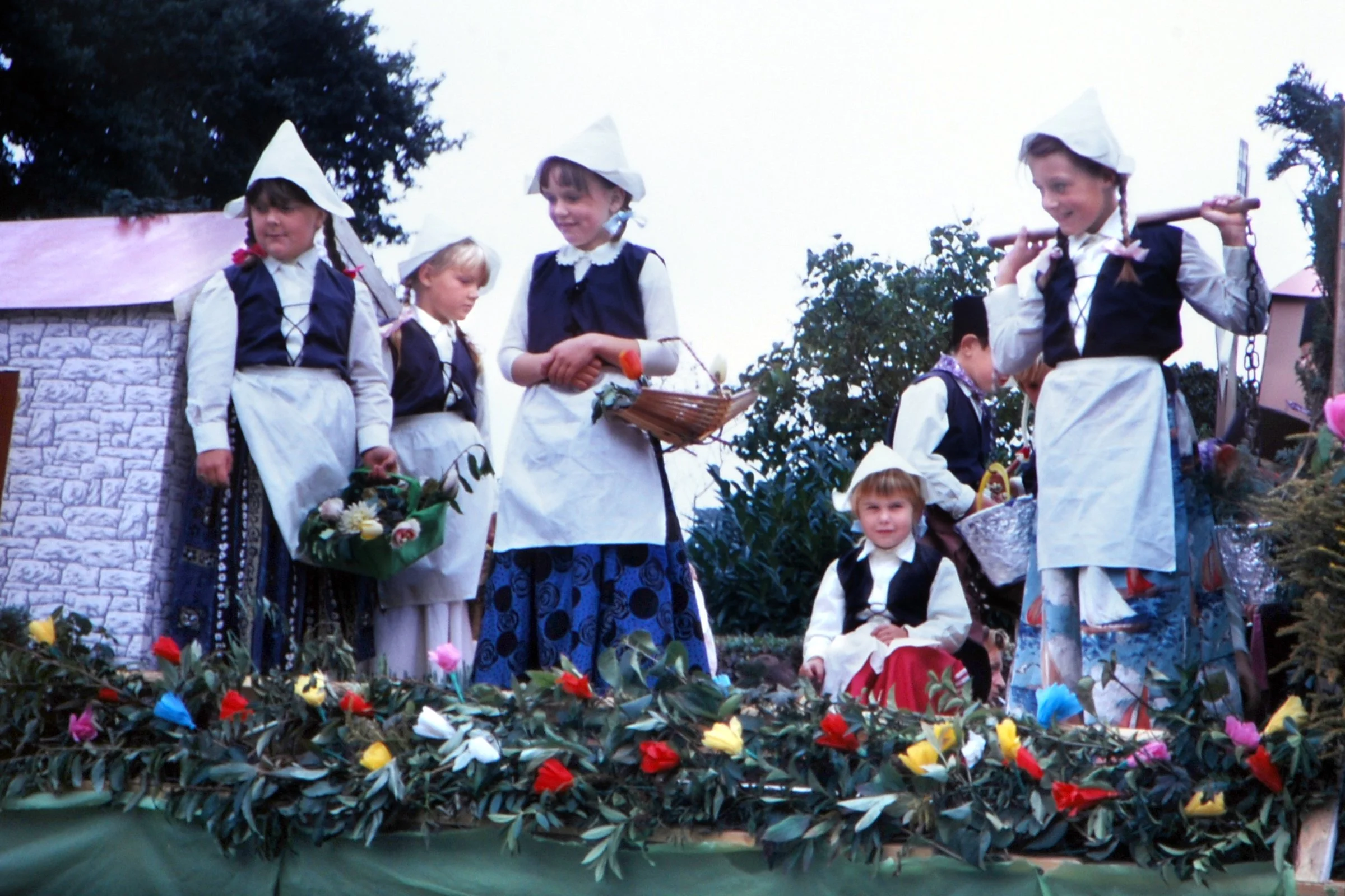 Tulips from Amsterdam - Mrs Matthews & Mrs Millard