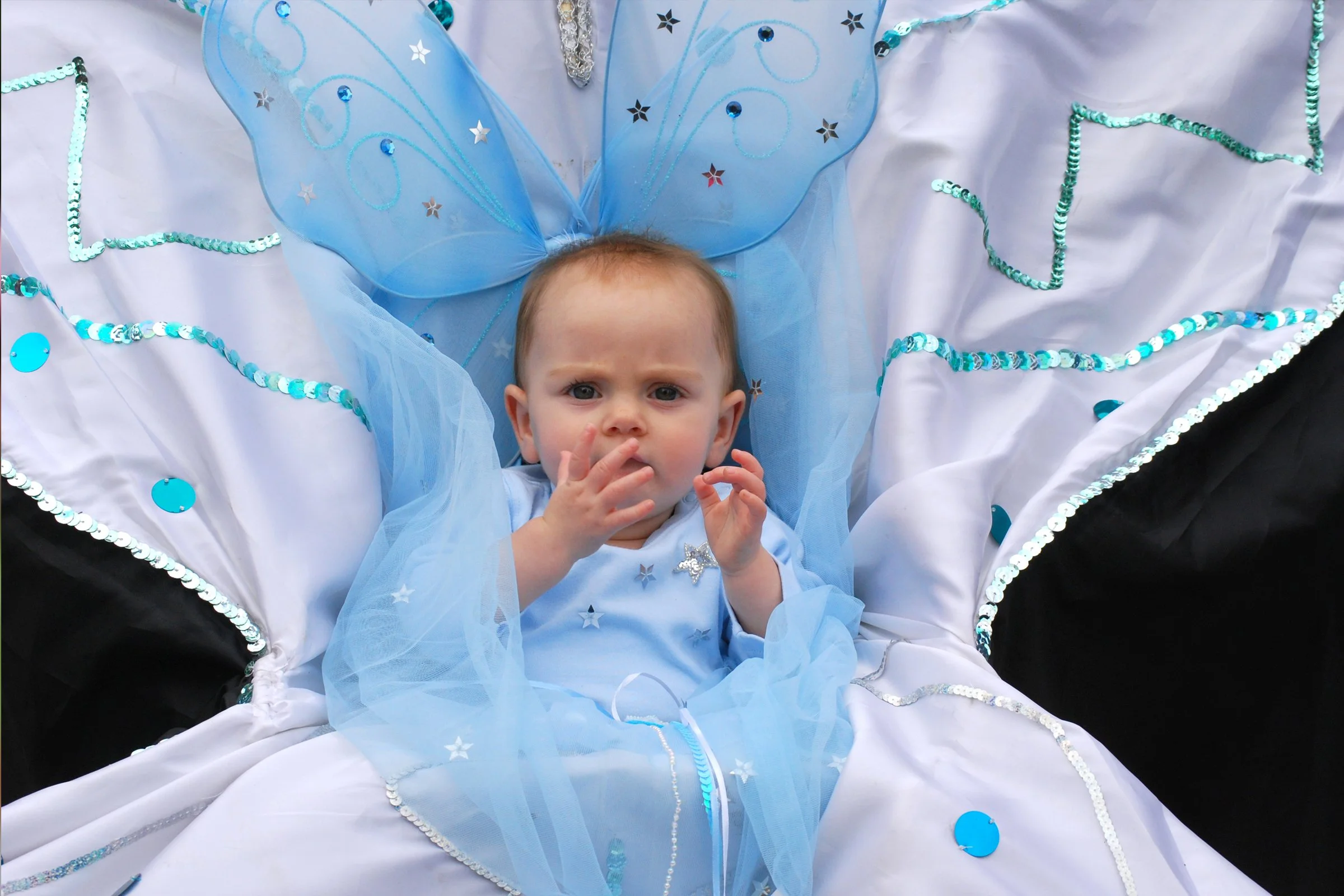 Butterfly Fairy - Christine Reed