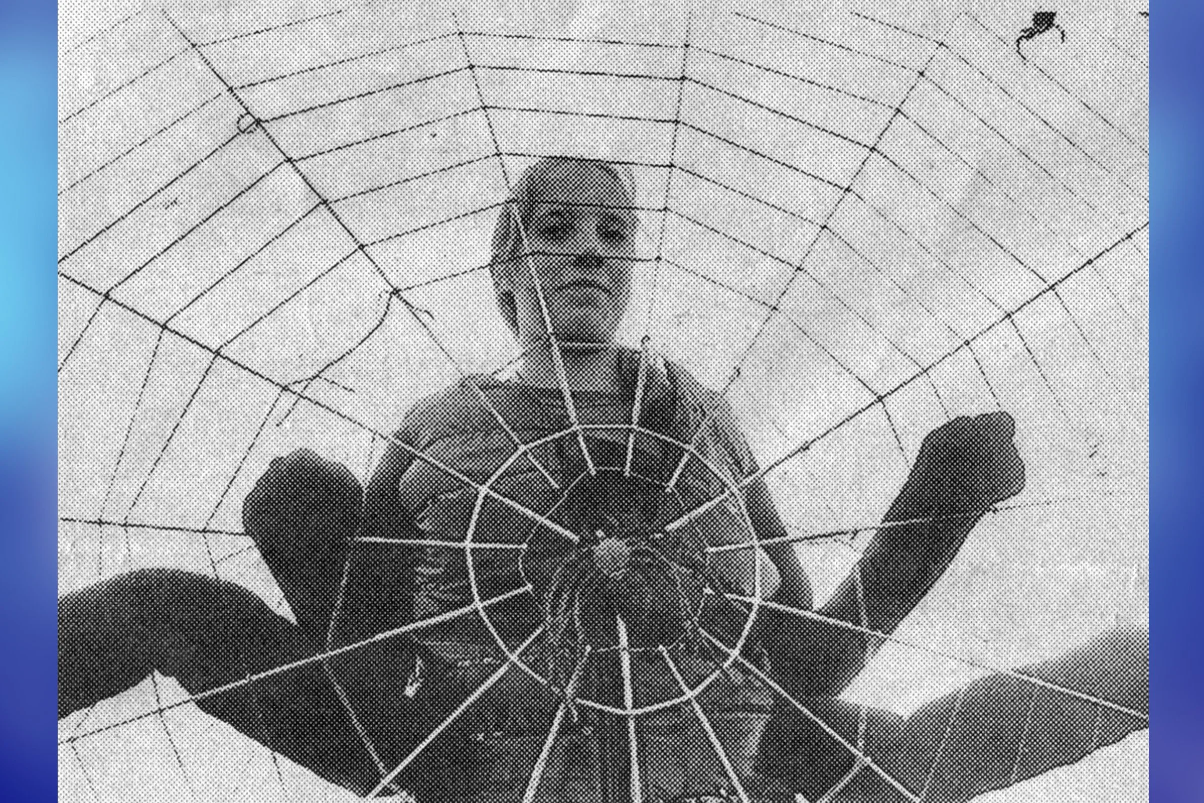 Spider Woman - Tracy Allen