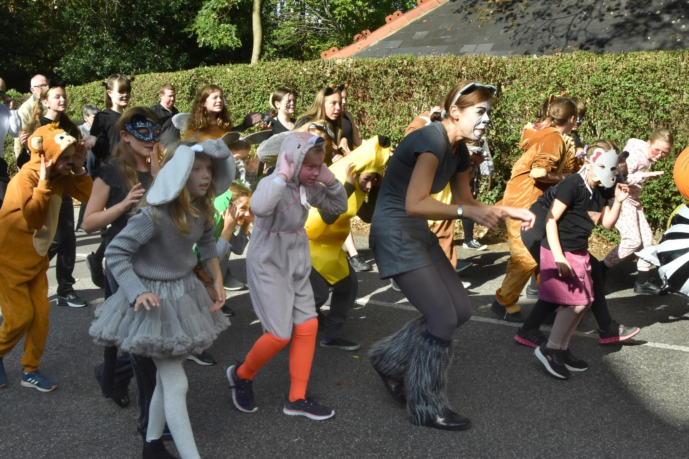 Jungle Book The Bare Necessities - Oakfield Academy