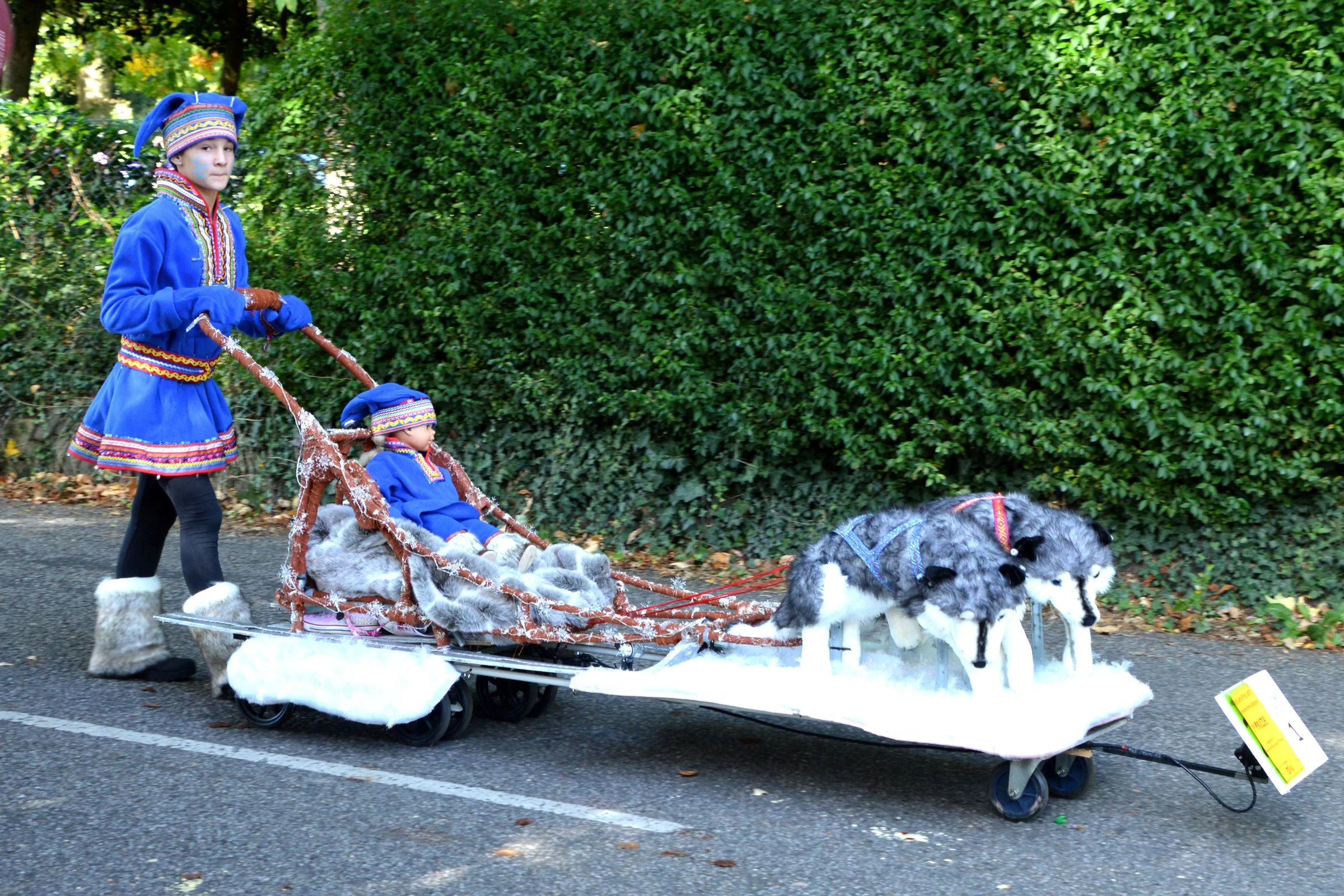 The Sami Wanderer - Izzy Wheeler