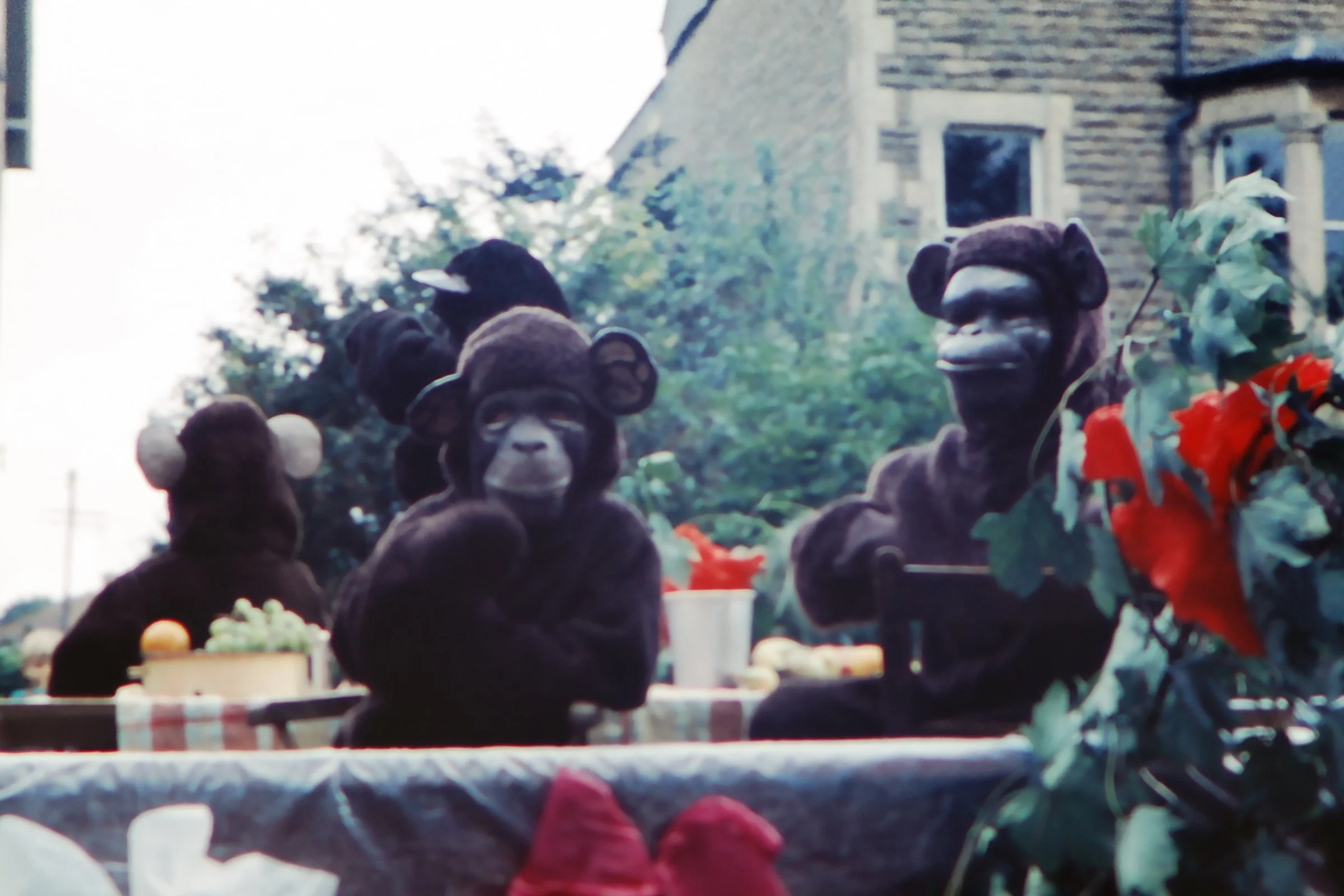 Planet of the Apes - C Pugh