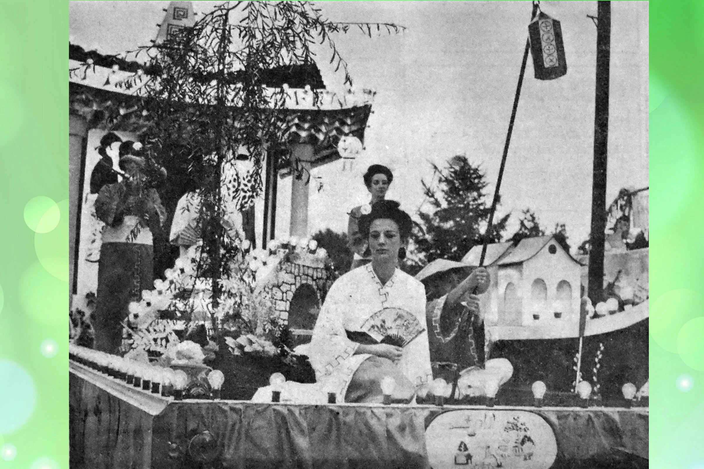 Willow Pattern - Express Dairy Sports & Social Club