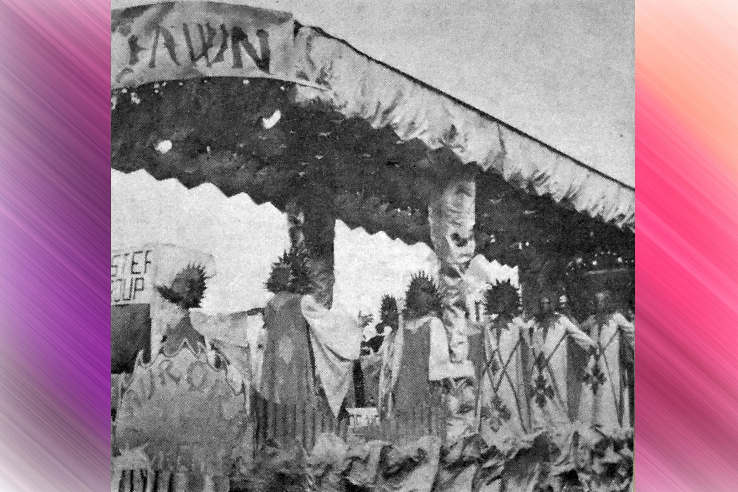 Aurora Borealis (Queen of the Dawn) - Express Dairy S&S Club