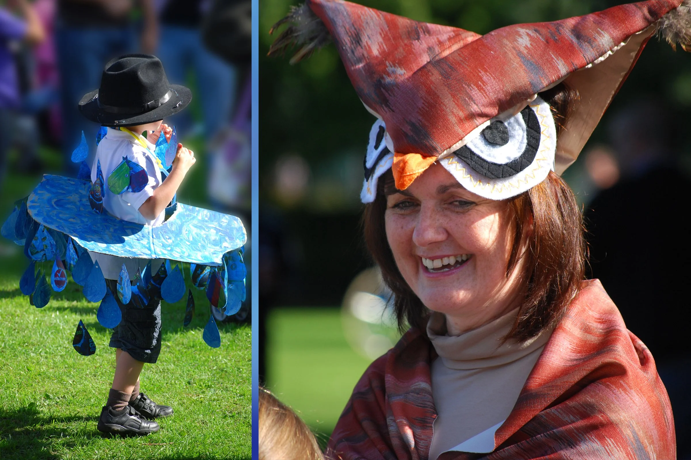 Raindrops; Freddie & the Owl