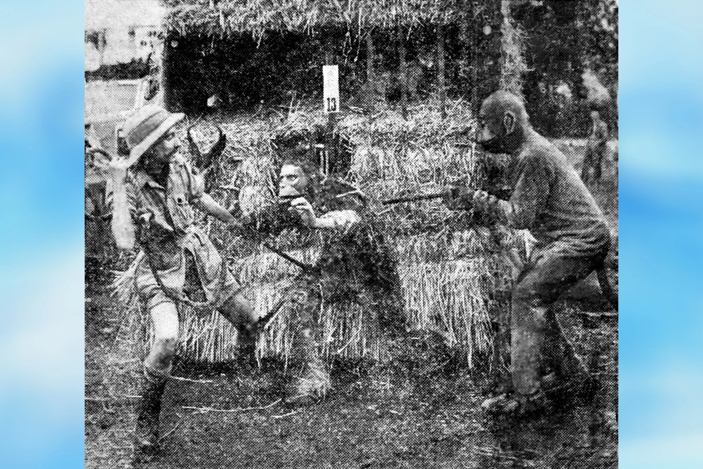 Bring 'Em Back Alive - JW Singer & Sons Sports & Social Club