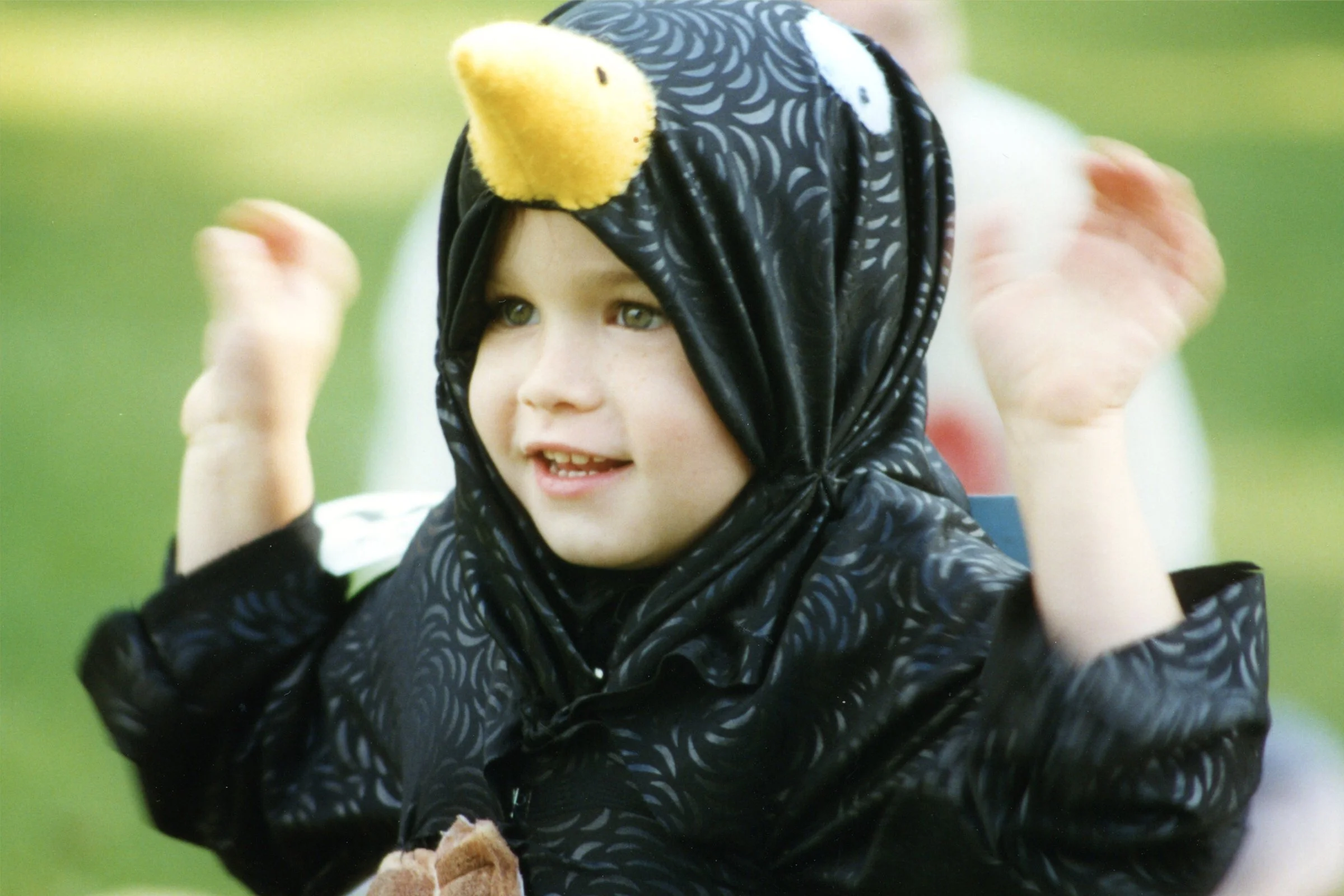 Blackbird Baked in a Pie - Timothy Gizzie