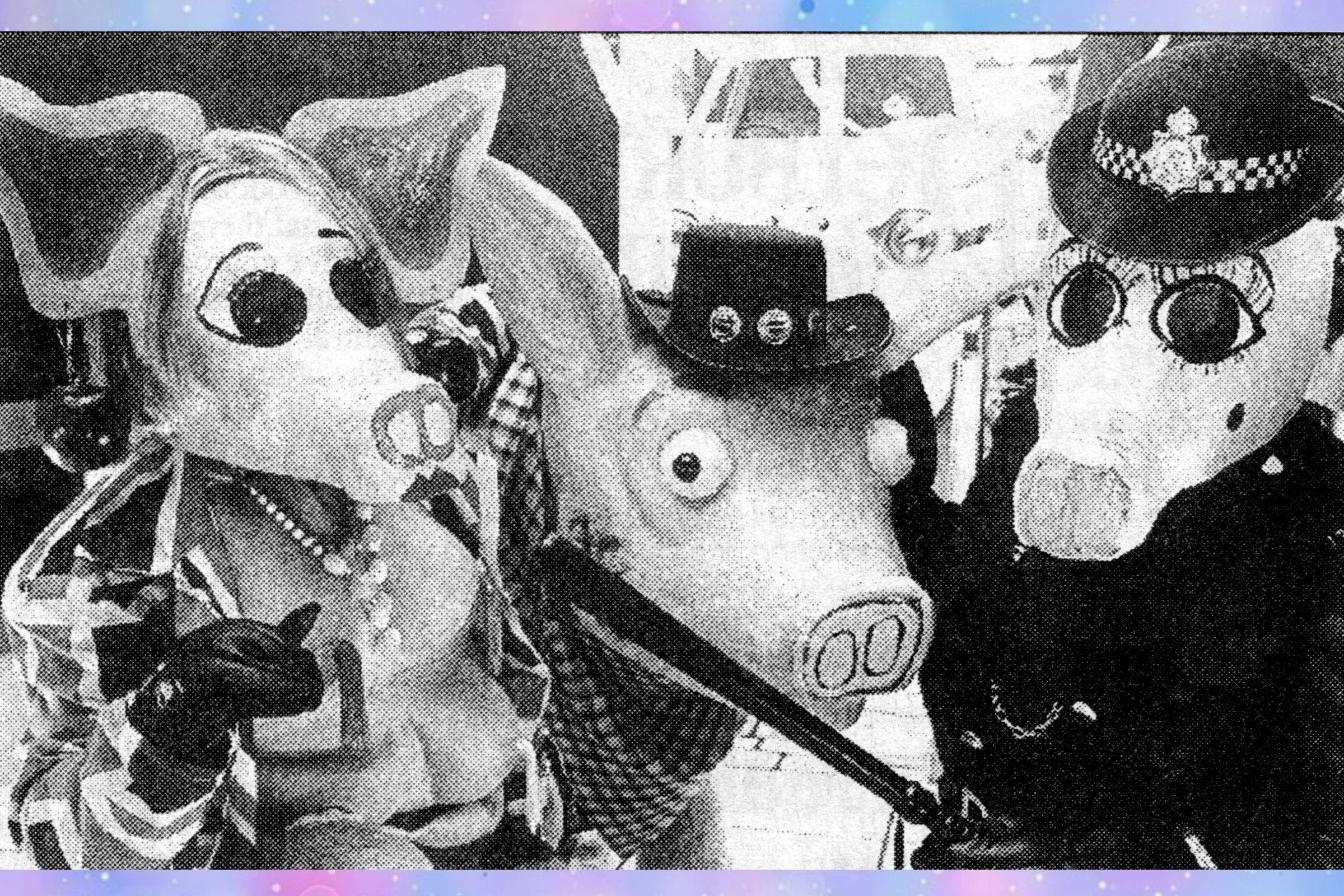 Swine Fever - Hot Rock CC