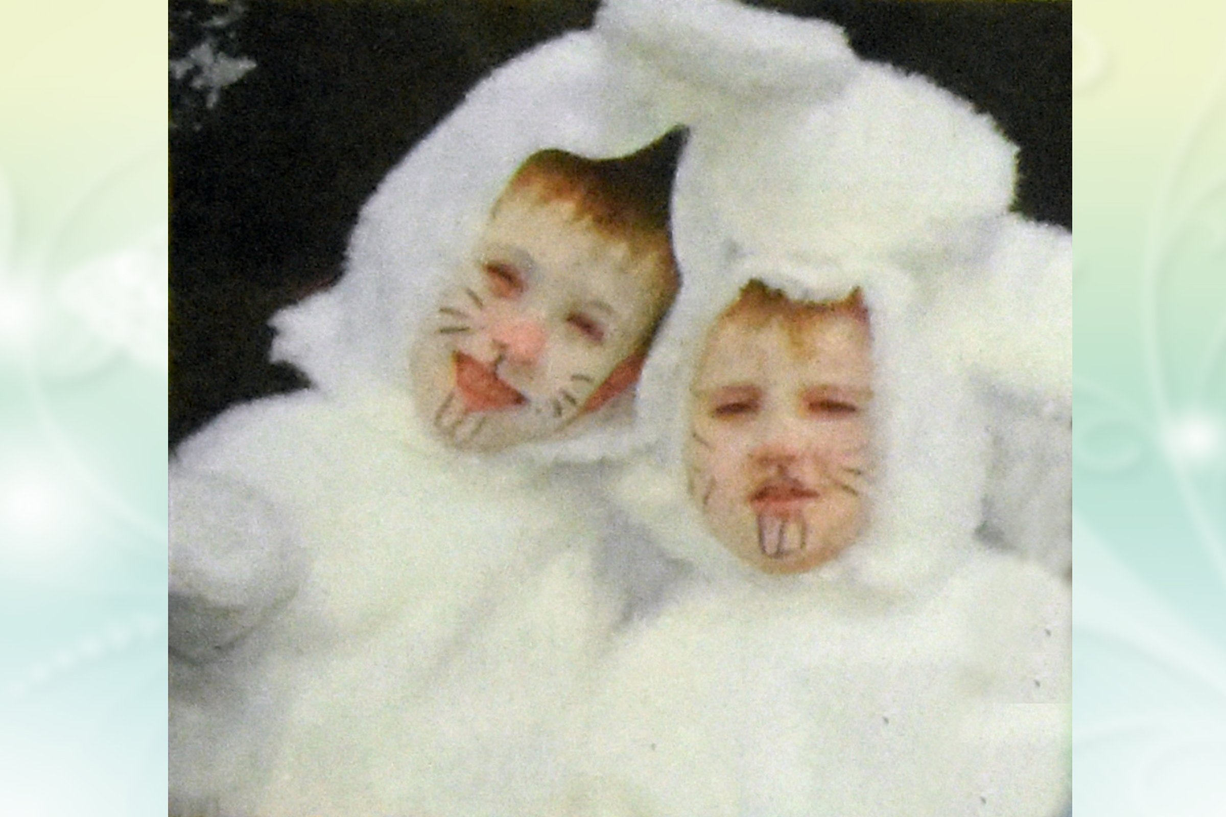 White Rabbits - Ellis McDonald & Tyler Cuff