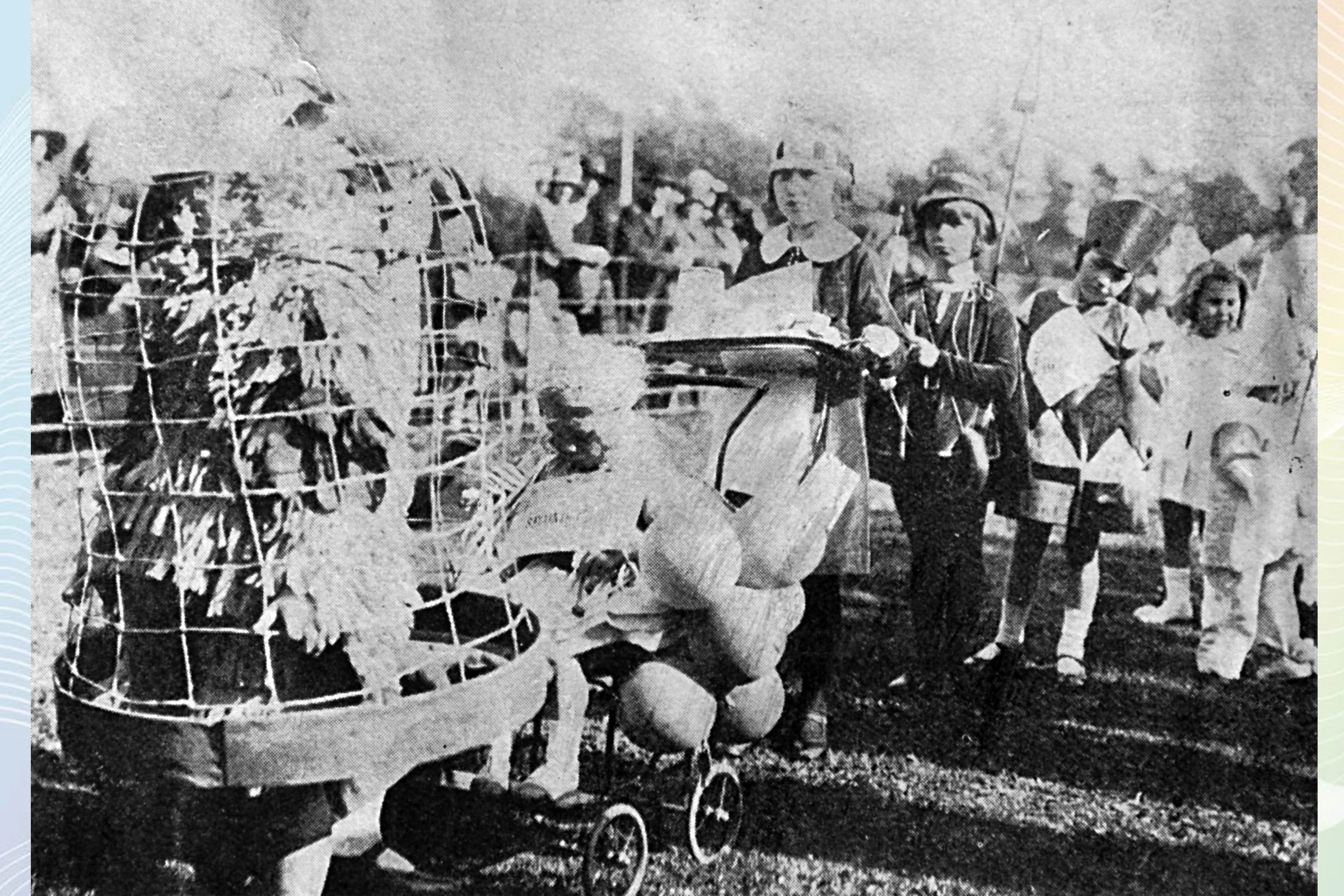  PARROT IN A CAGE  Violet Wood