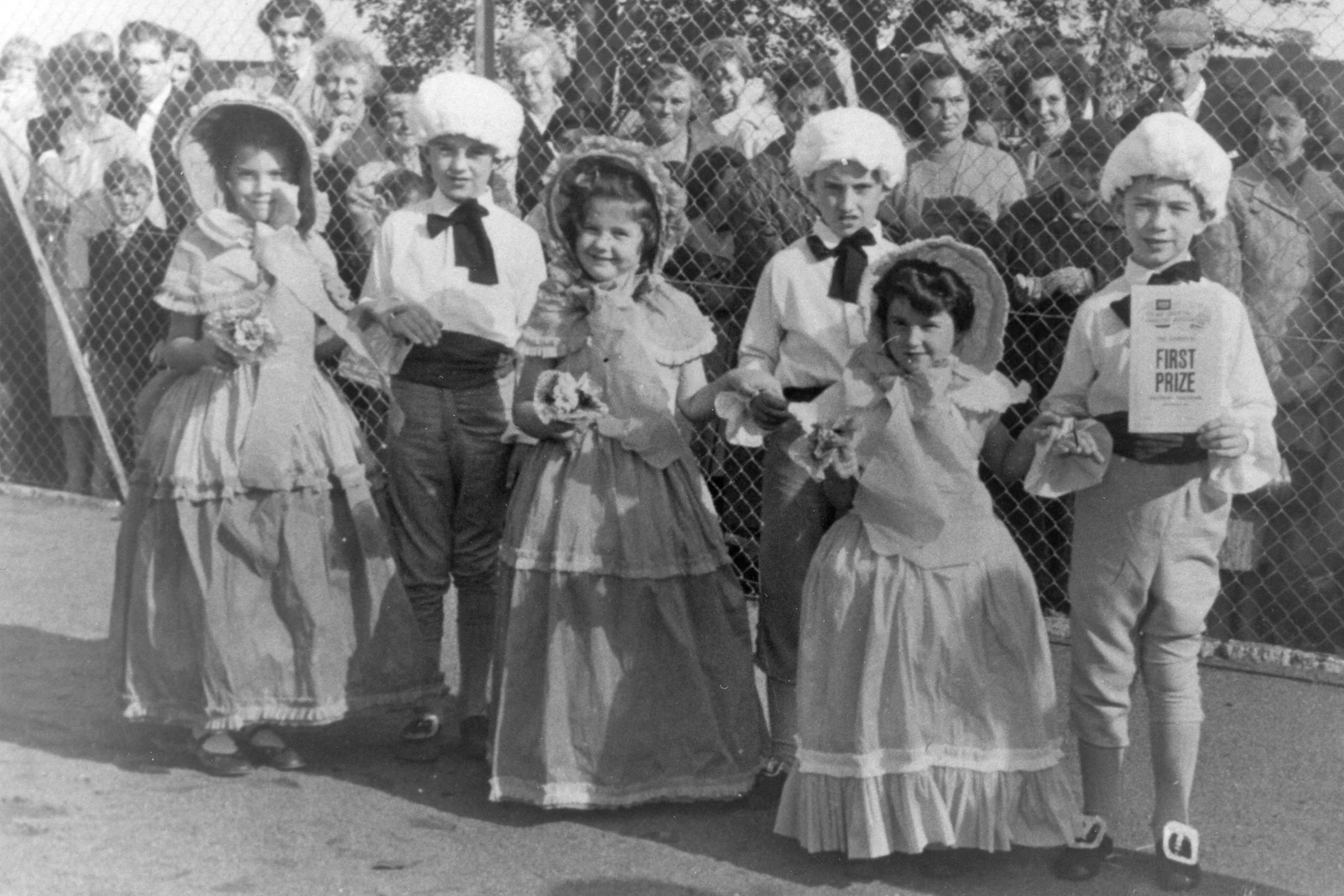 Crinoline Days - P D & V Ellis and B K & L Taylor