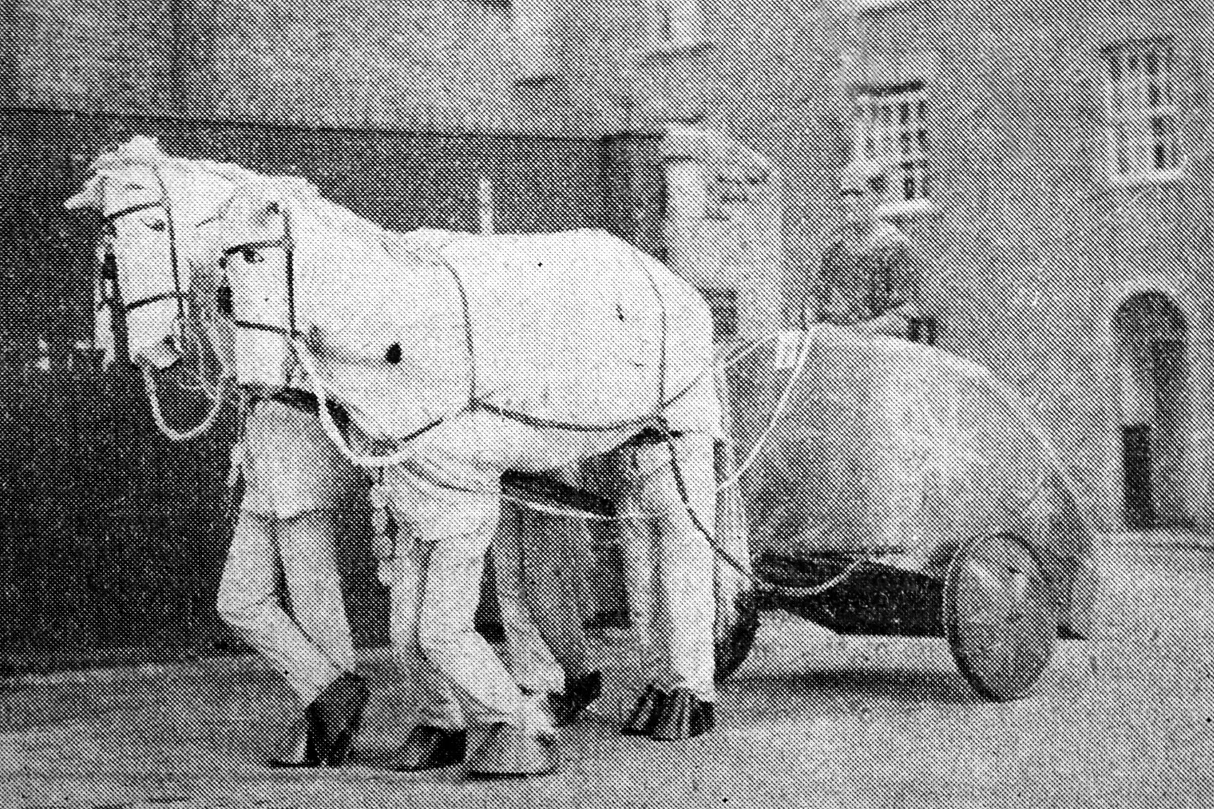  Nero's Flight  by AE Willmott