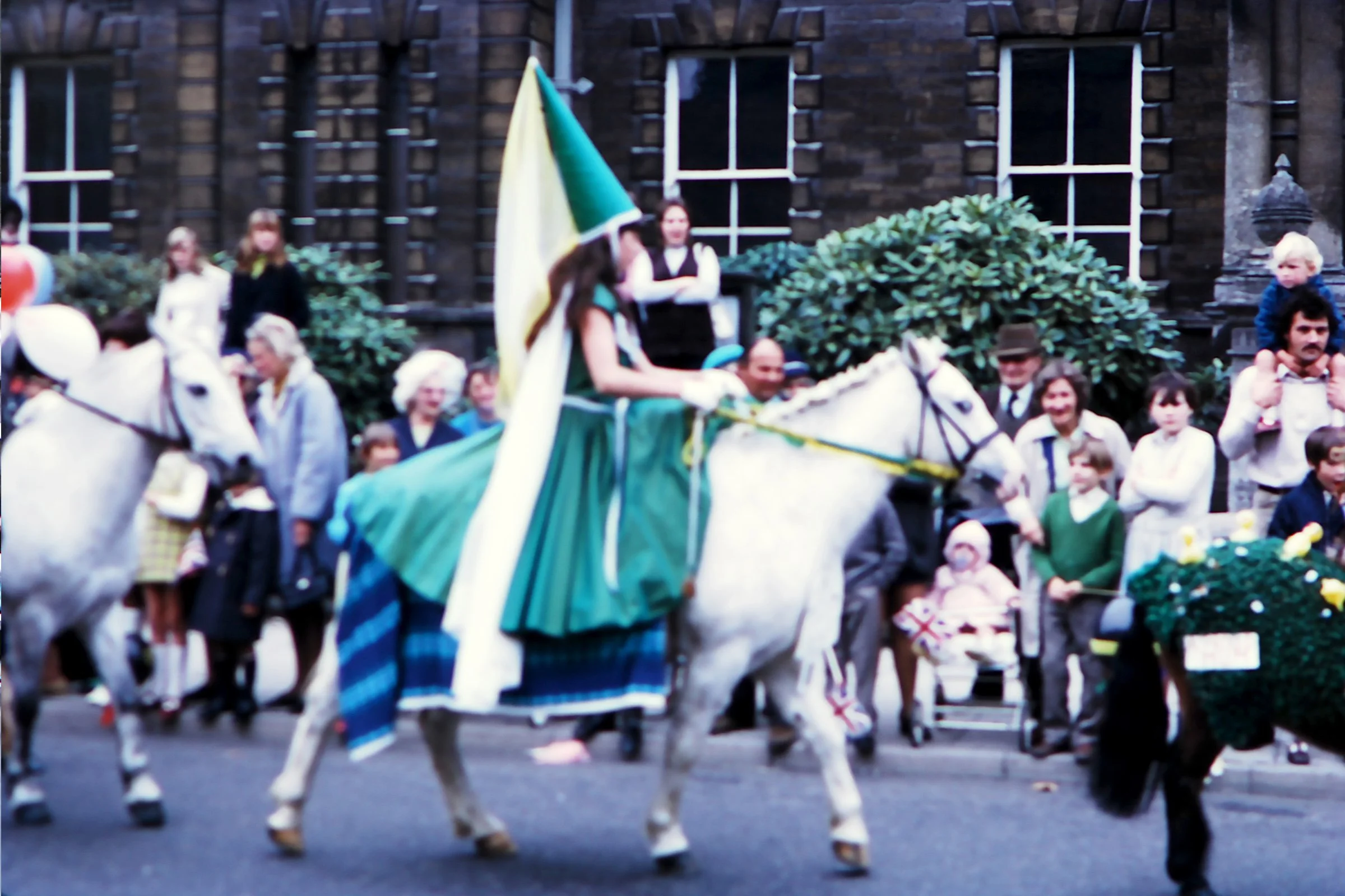 Lady of the Manor - Julie Williams