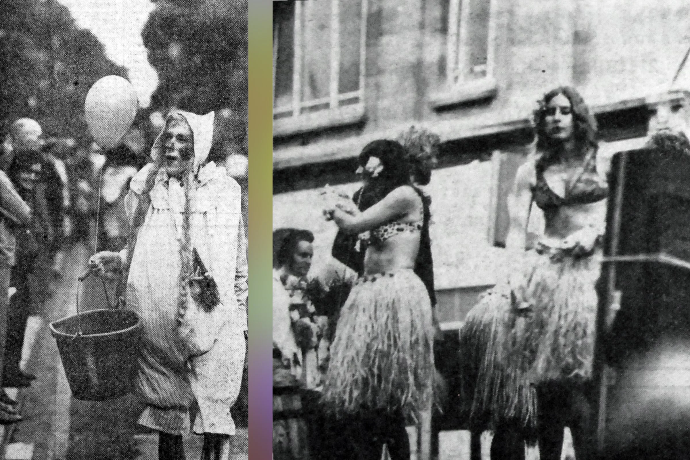 Chippenham Crackpot collector; Queen of Island - A King