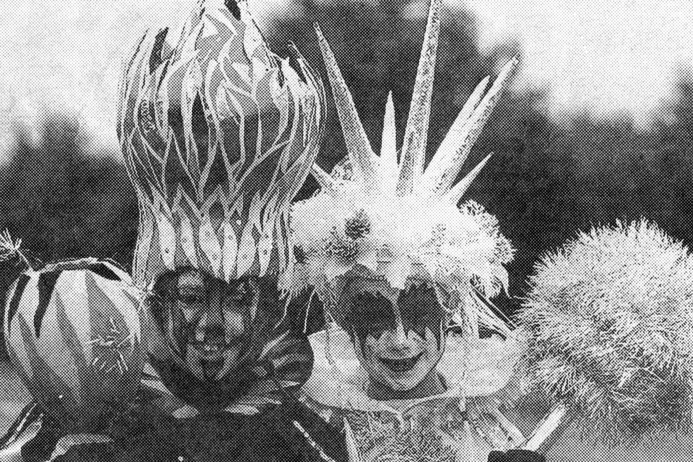 The Eternal Flame - Daniel Fielding with Ice Queen - Sherryl Fielding