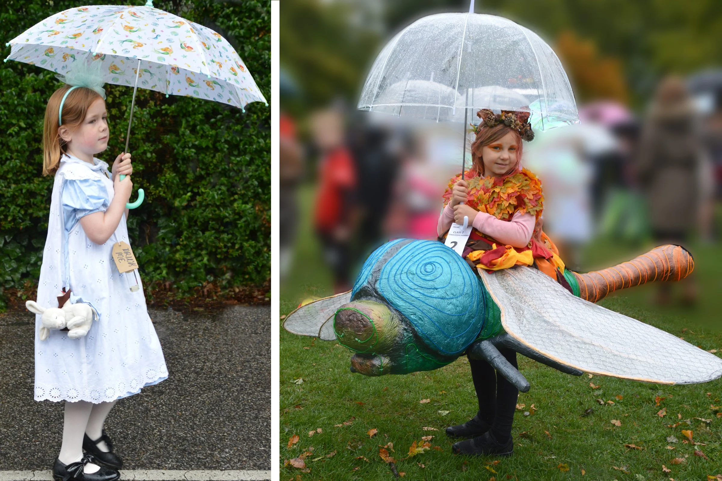 Alice ?; Autumn Nymph - Indie Hookins