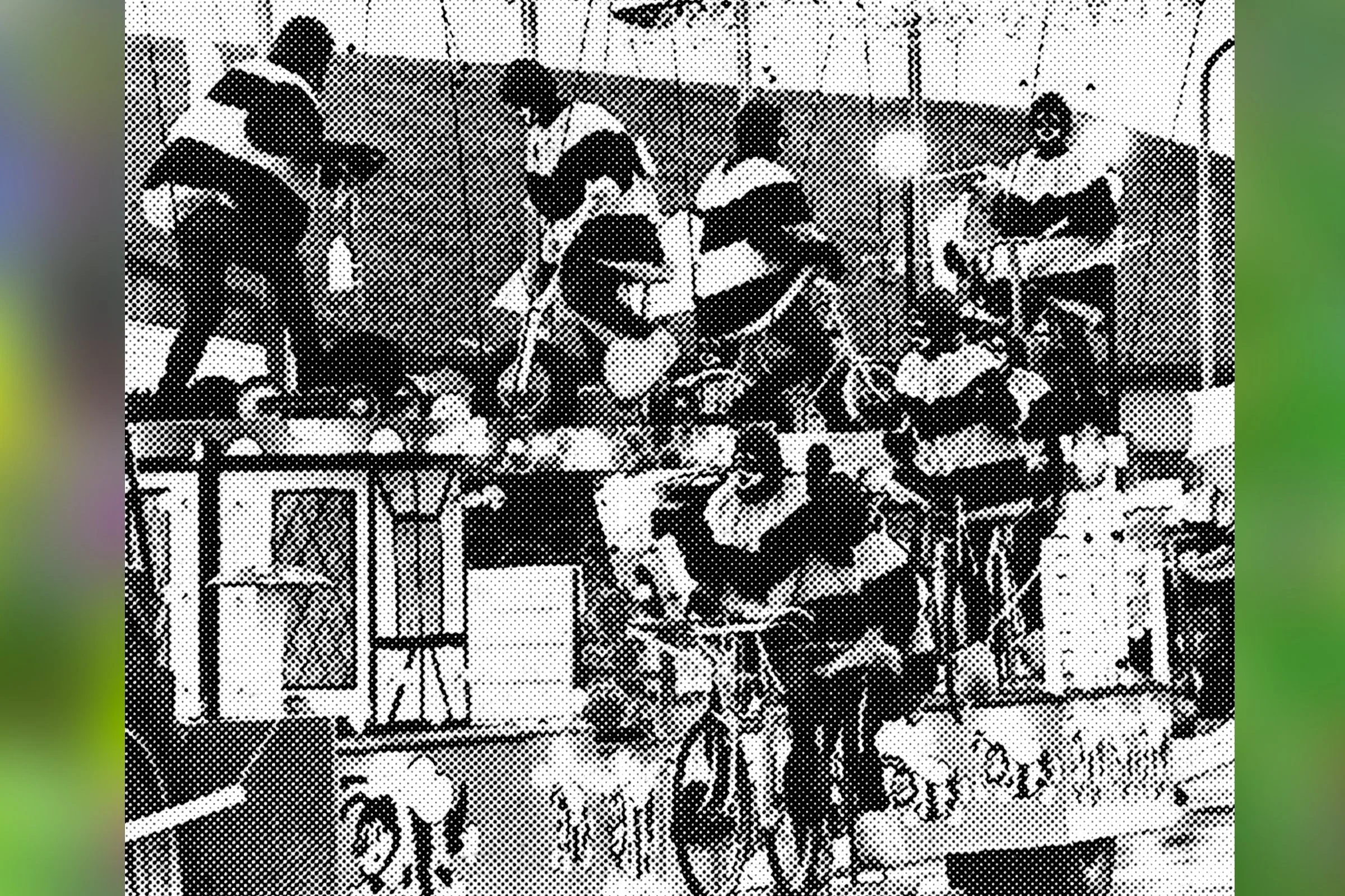 Bee On Your Bike - Hot Rock CC