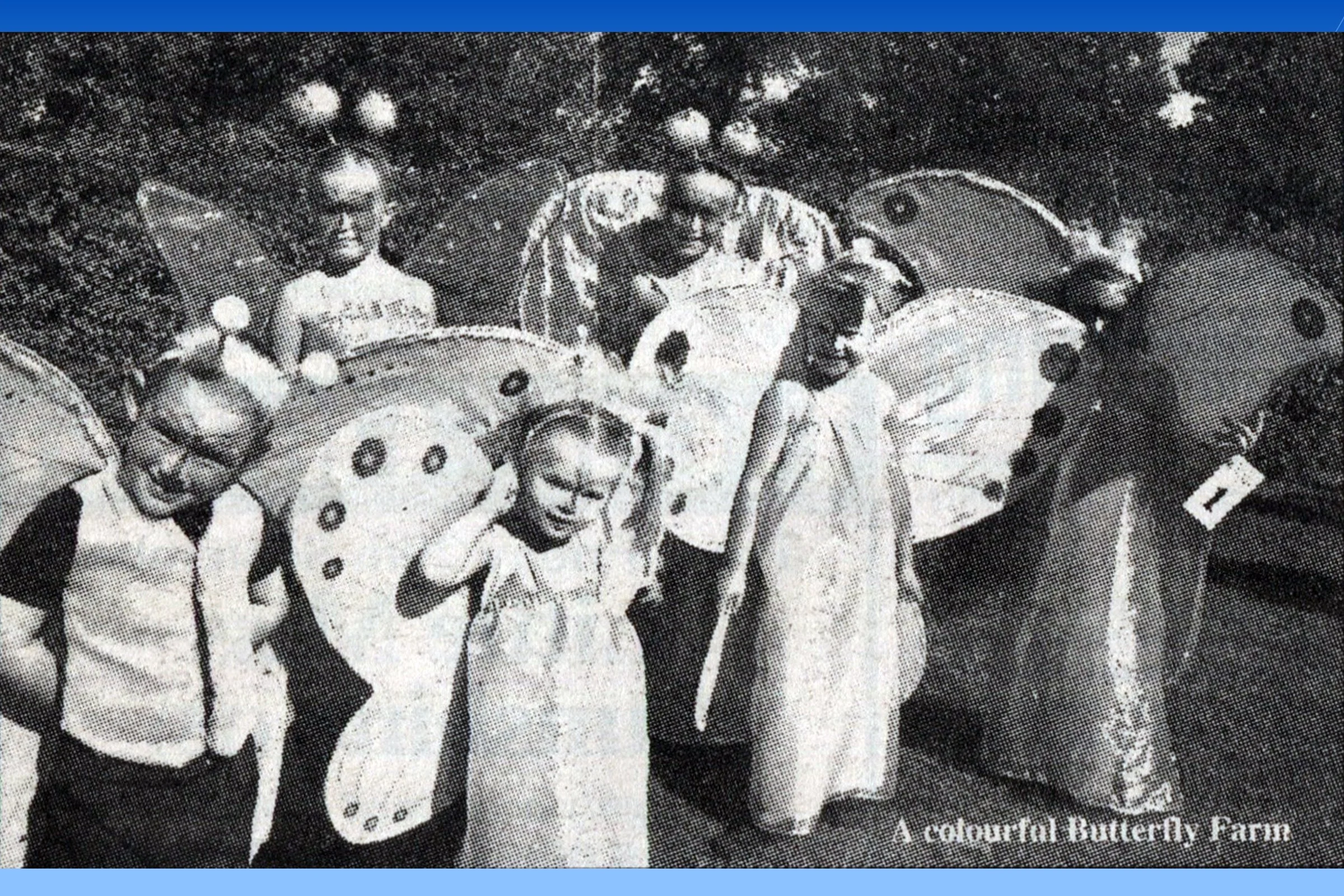 Butterfly Farm - Chloe & Bailey Morris, Rebecca & Katie Hinde, Megan & Ella Warminsham
