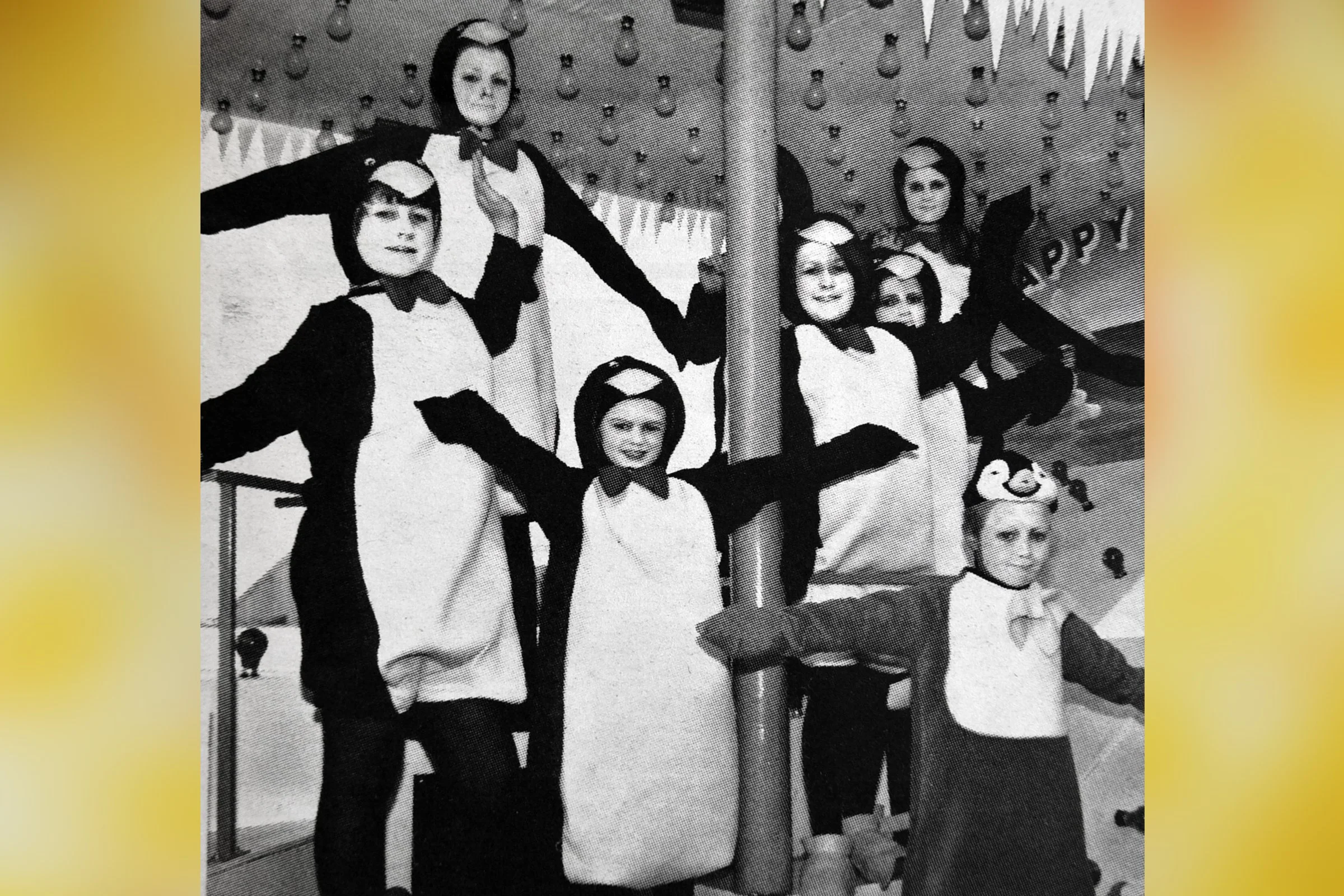 Happy Feet - Mole CC, Pimperne