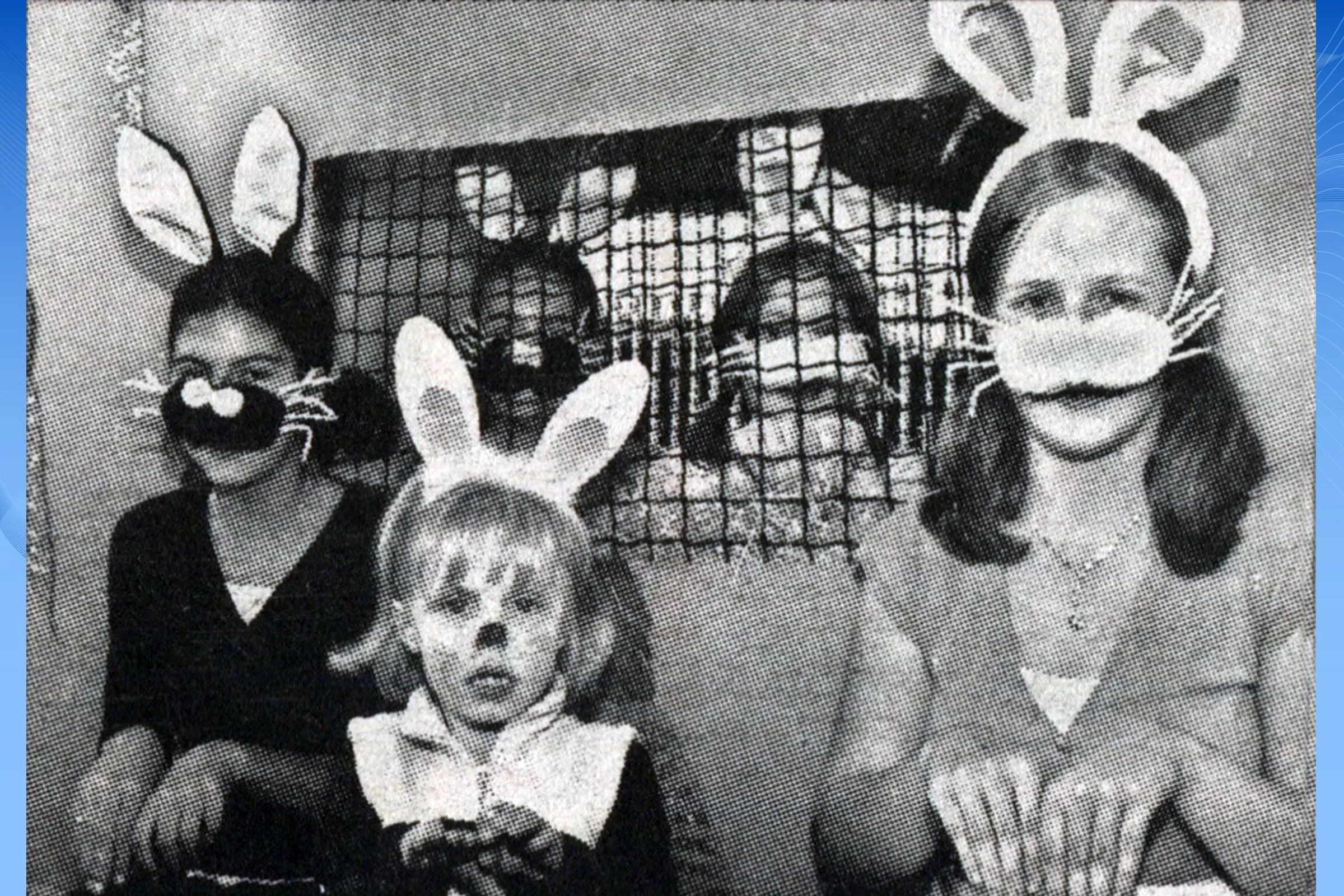 Hop Along Bunnies - Portway Crew