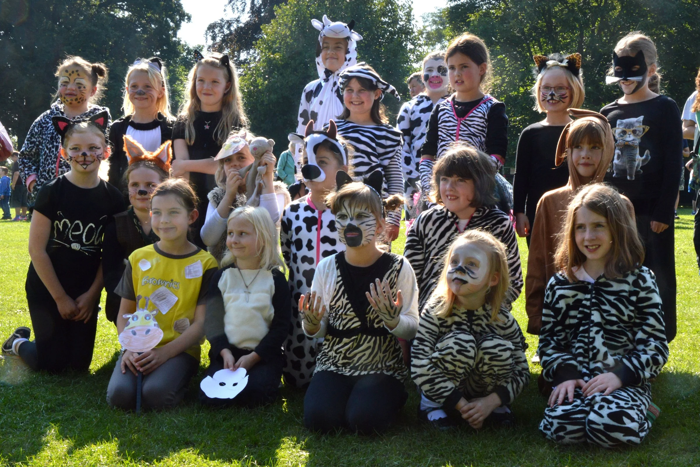 Noah's Ark - Guiding In Frome