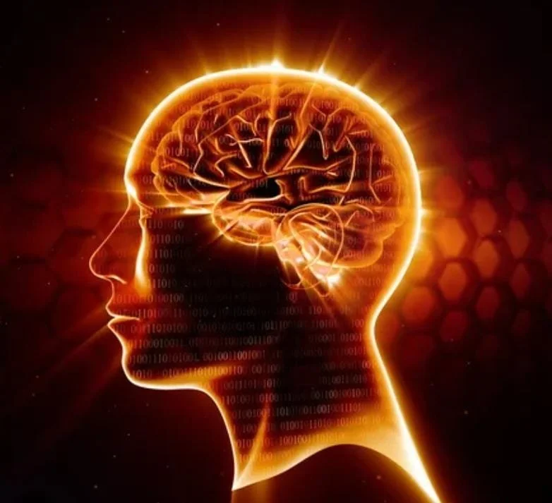 Unlock Your Hidden 80 Percent: Rewire Your Brain from Saboteur to Sage