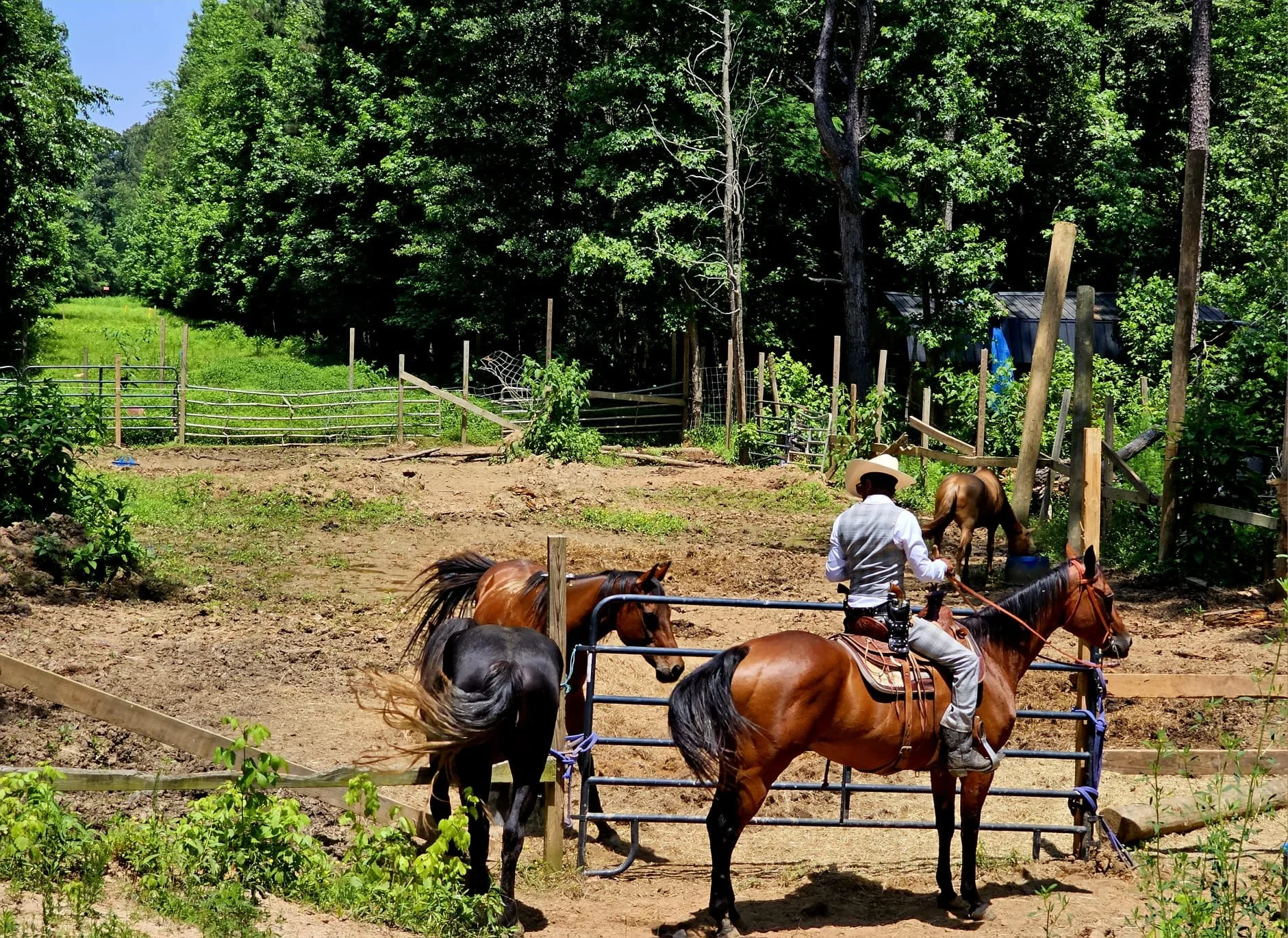 WhatsApp Image 2025-04-22 at 11.32.33 PM (6).jpeg