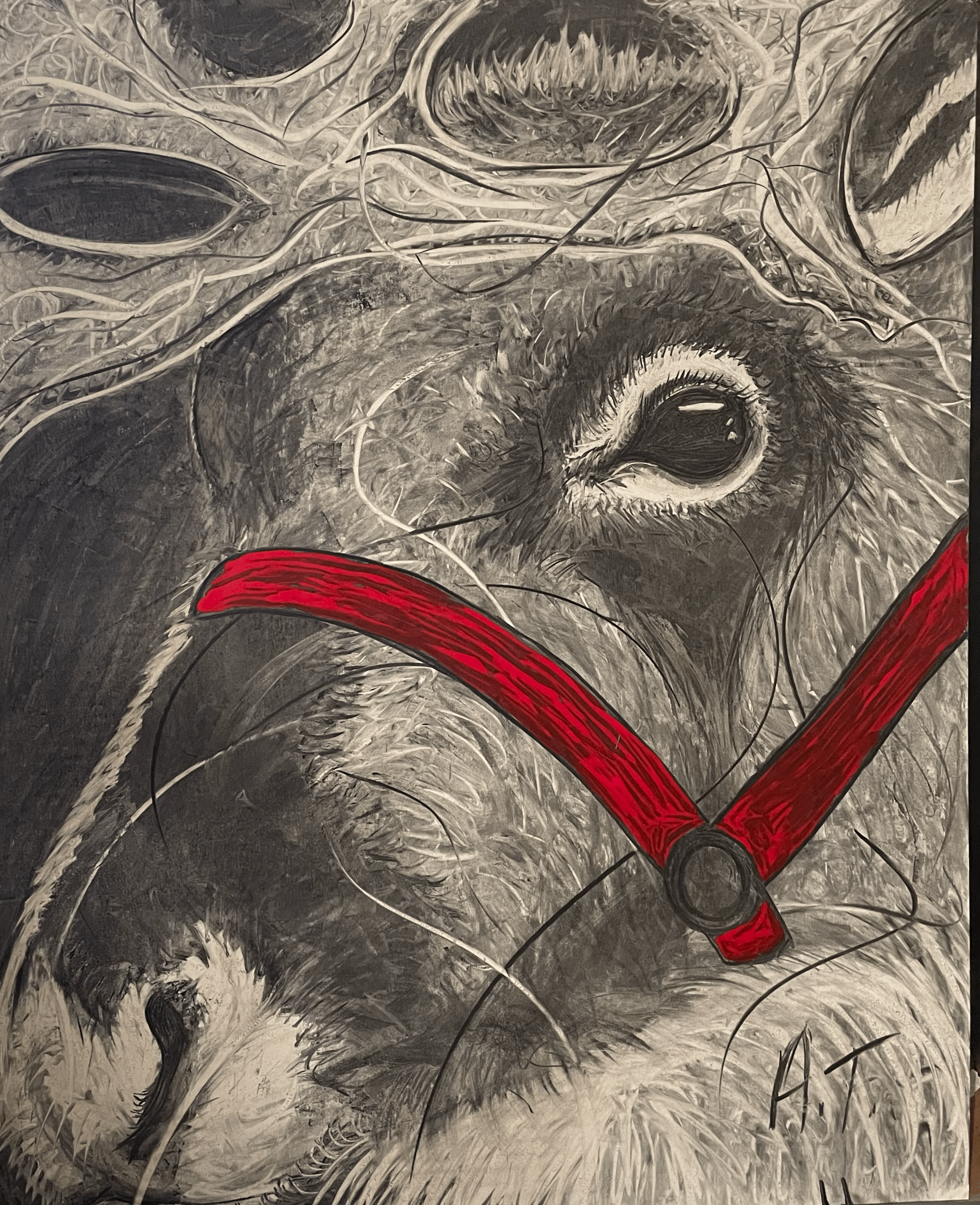 Prancer, 2025. SPECIAL EDITION. (Available at local business in Superior, WI.) Inquire for details.