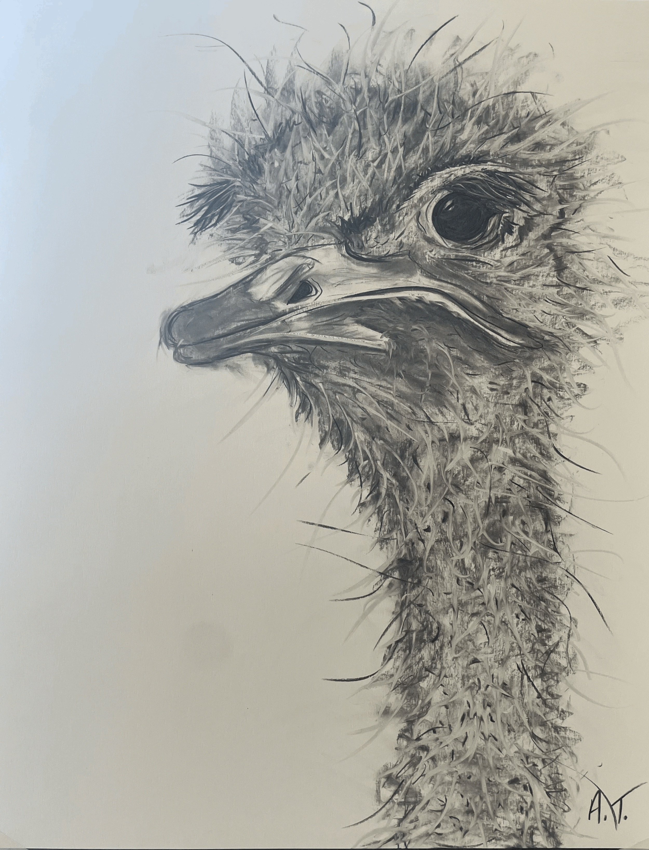 Head Out of Sand, 2026. (Available)