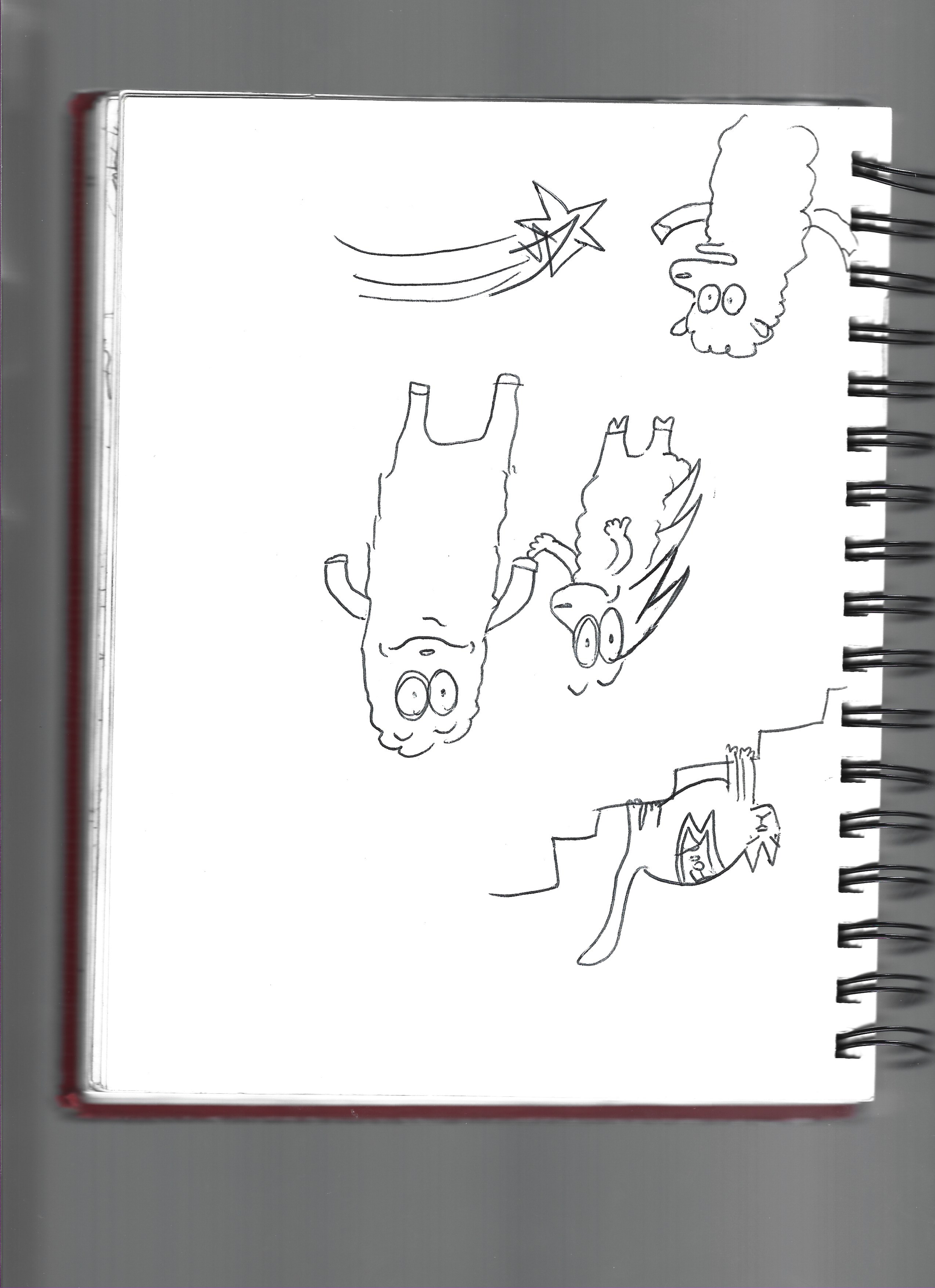 Scan 3.png