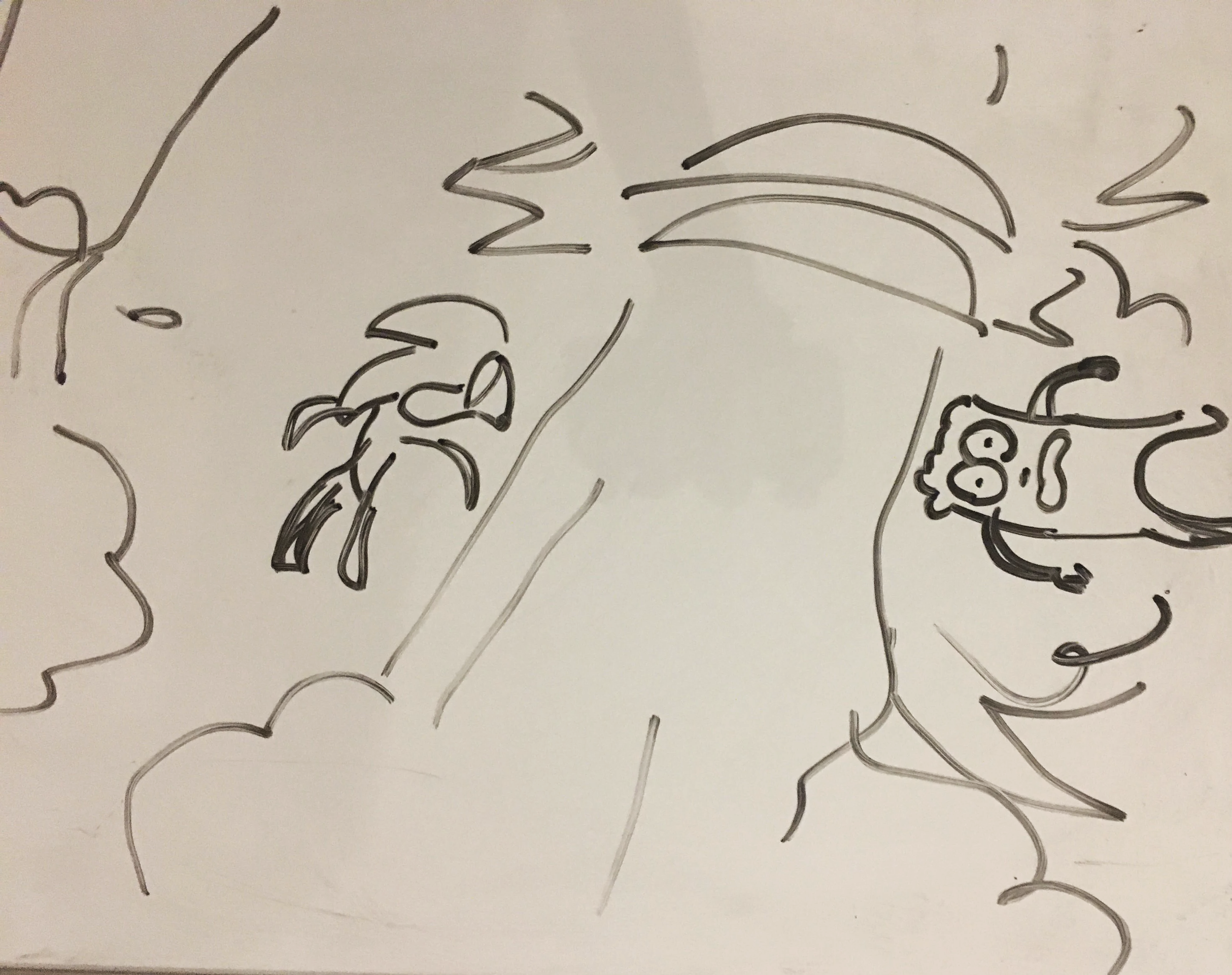 IMG_0068.png