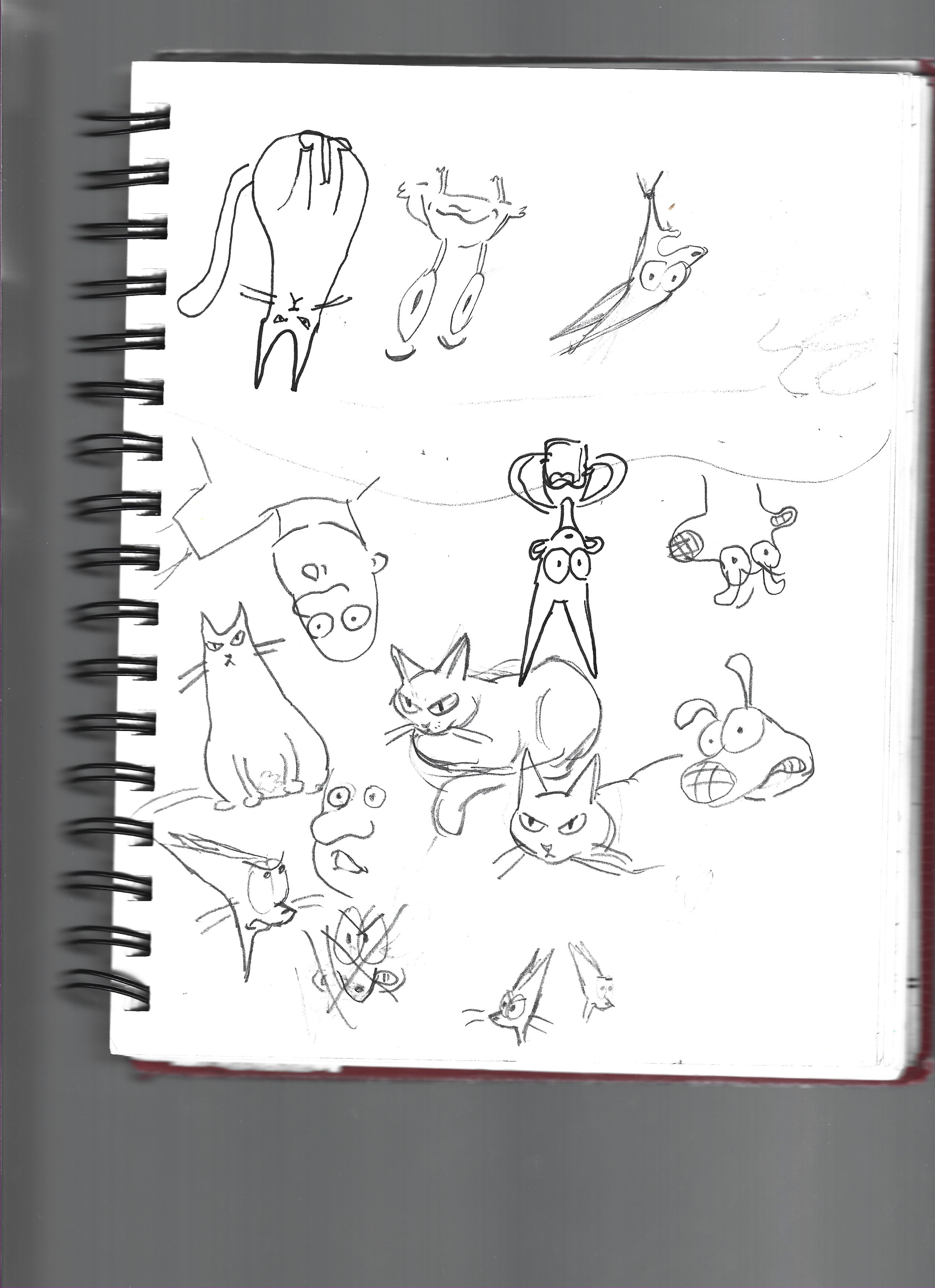 Scan copy.png