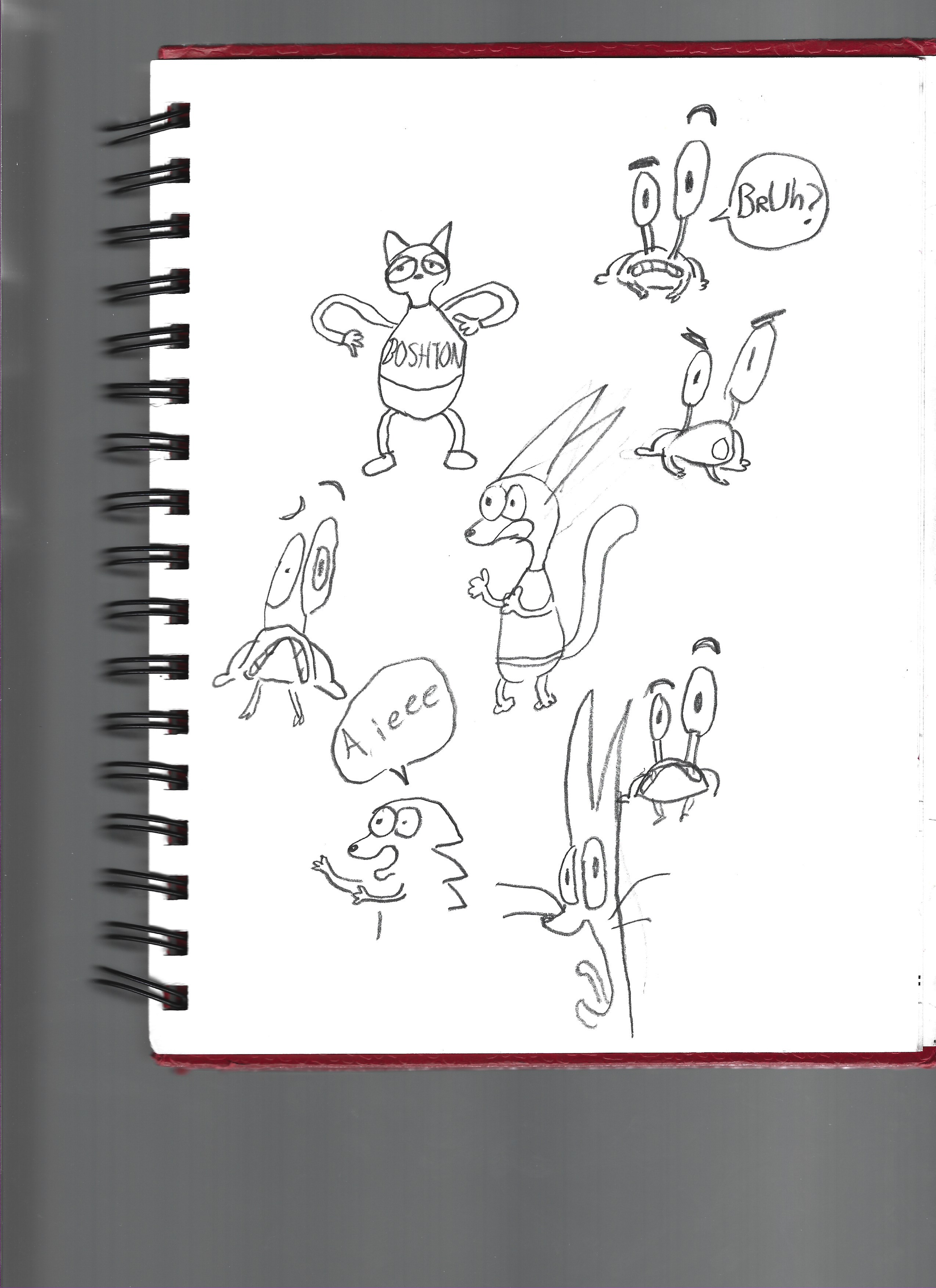 Scan 3 copy.png