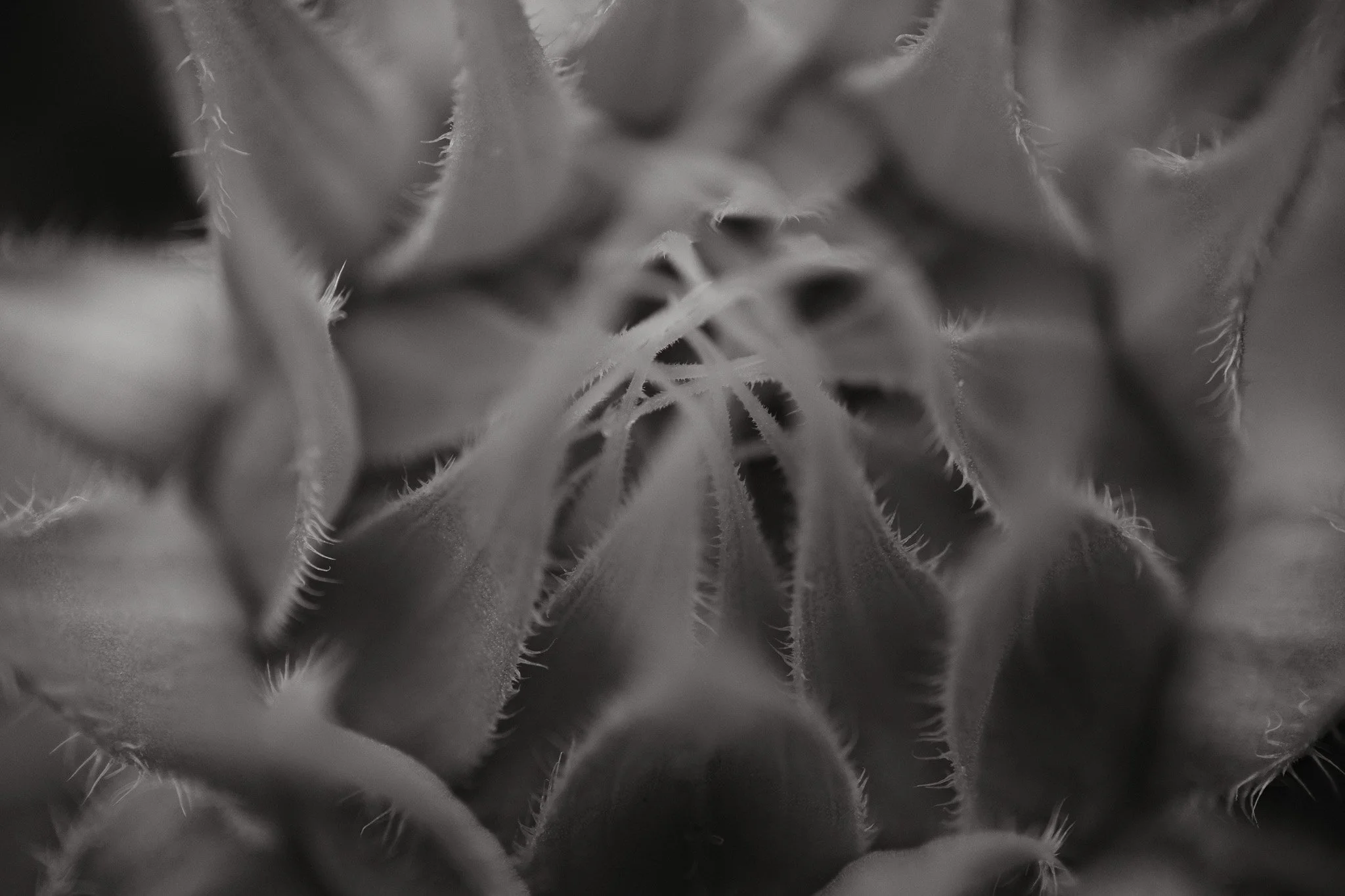 XT051273.jpg