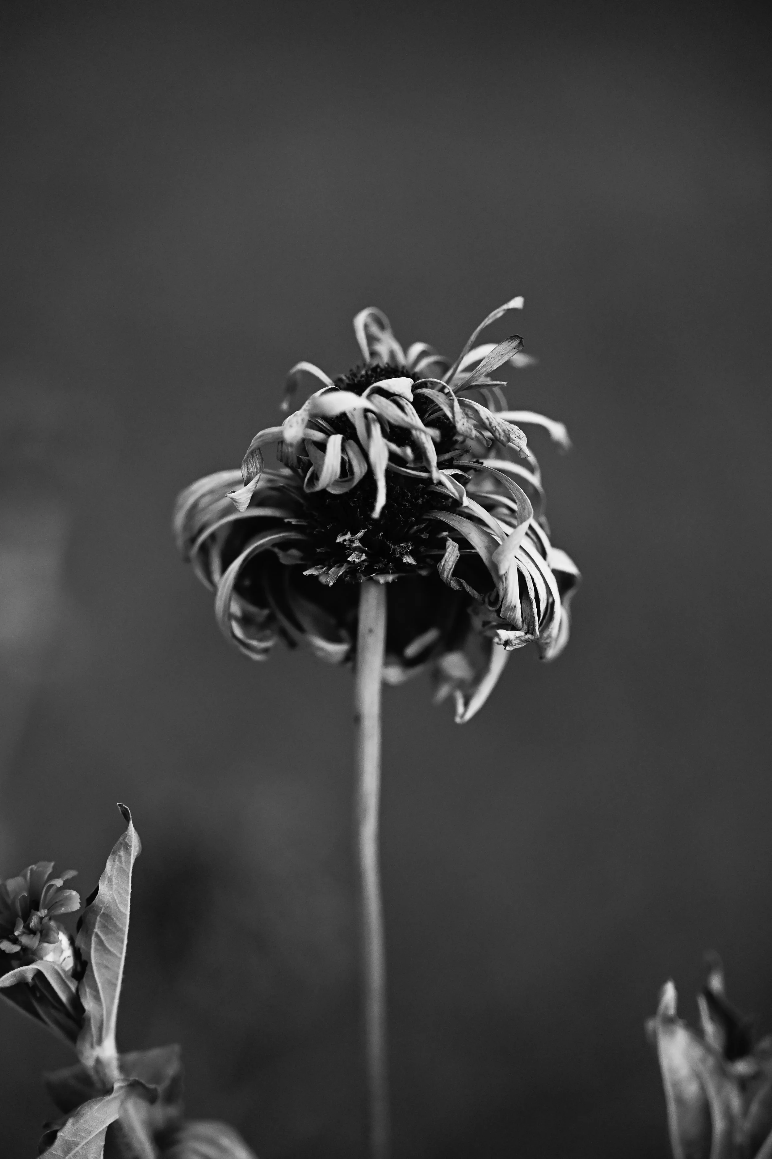09:29:2026JPG.JPG