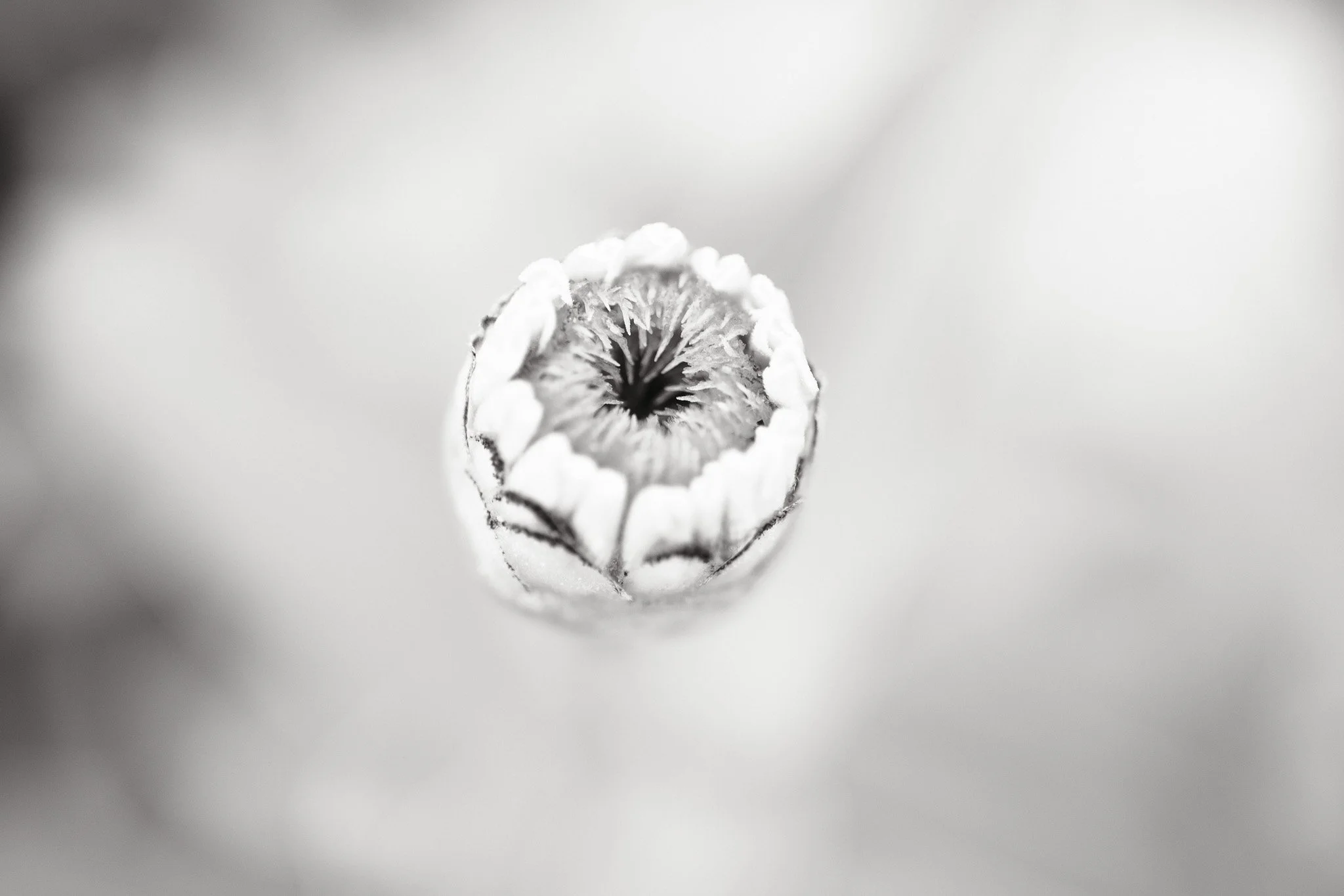 08:31:2026.jpg