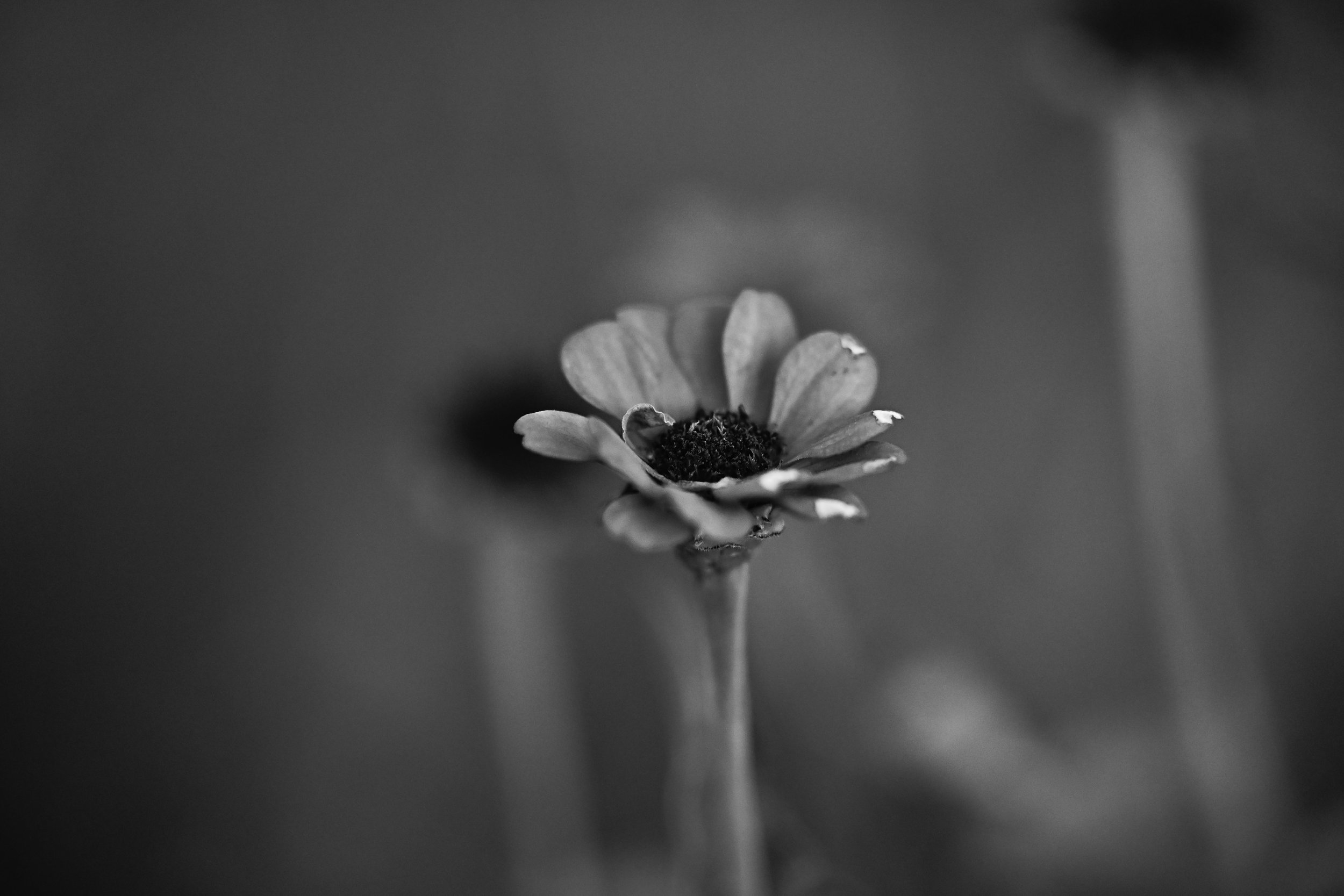 10:01:2026.JPG