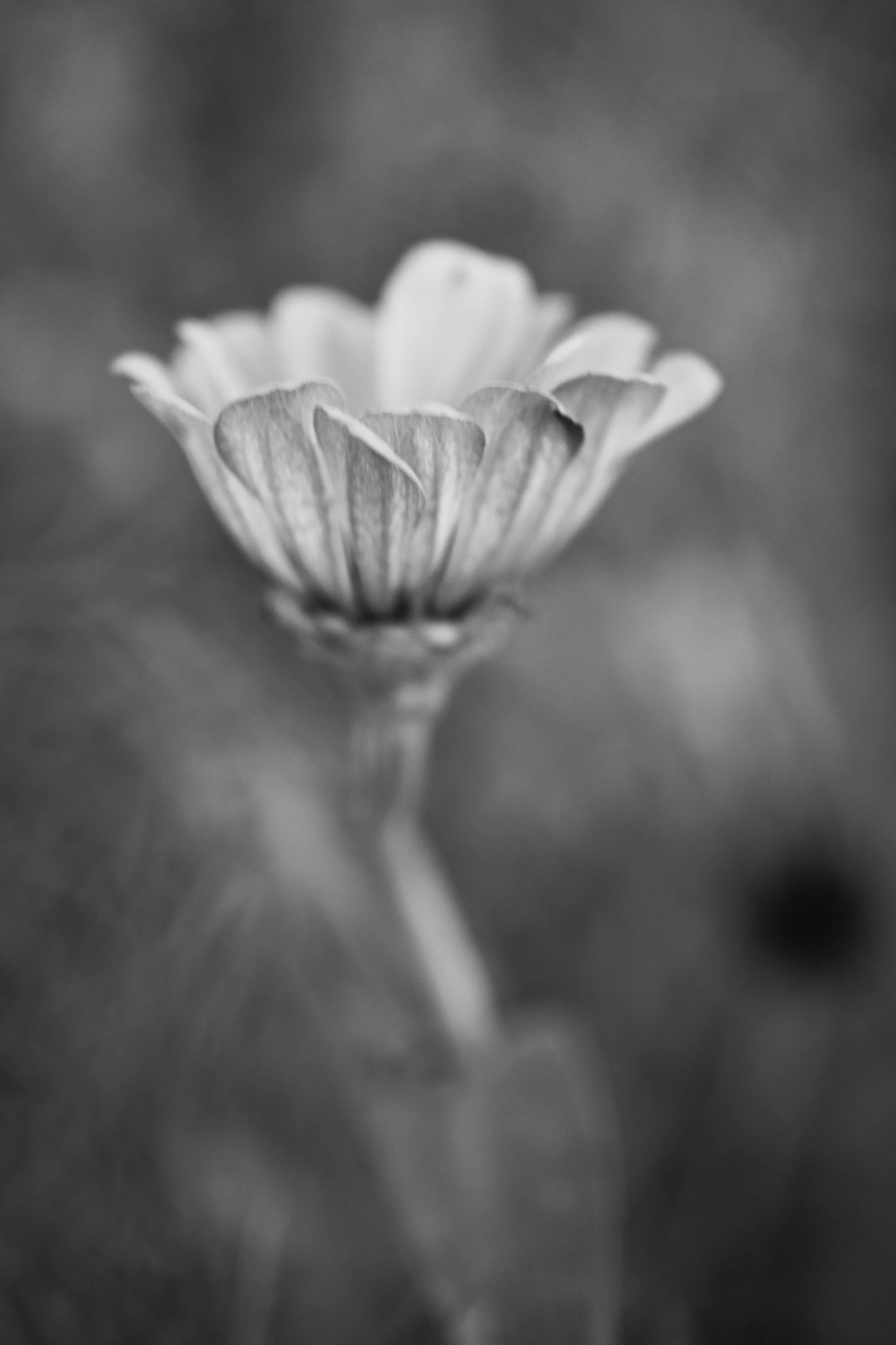 09:18:2026.JPG