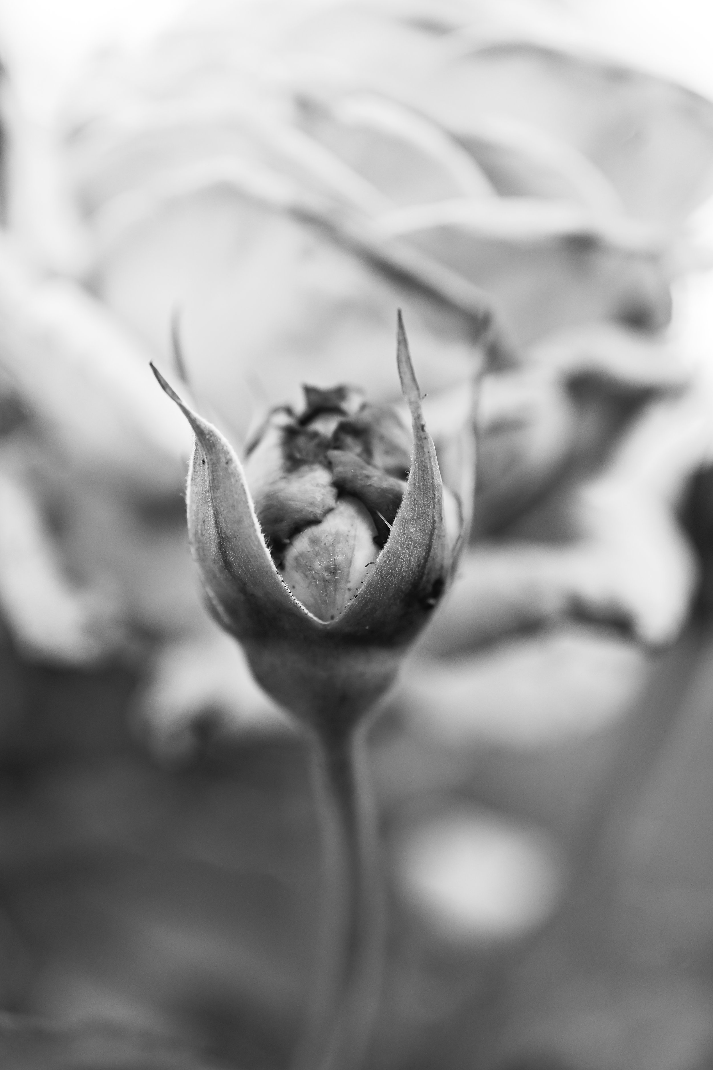 05:04:2026.JPG