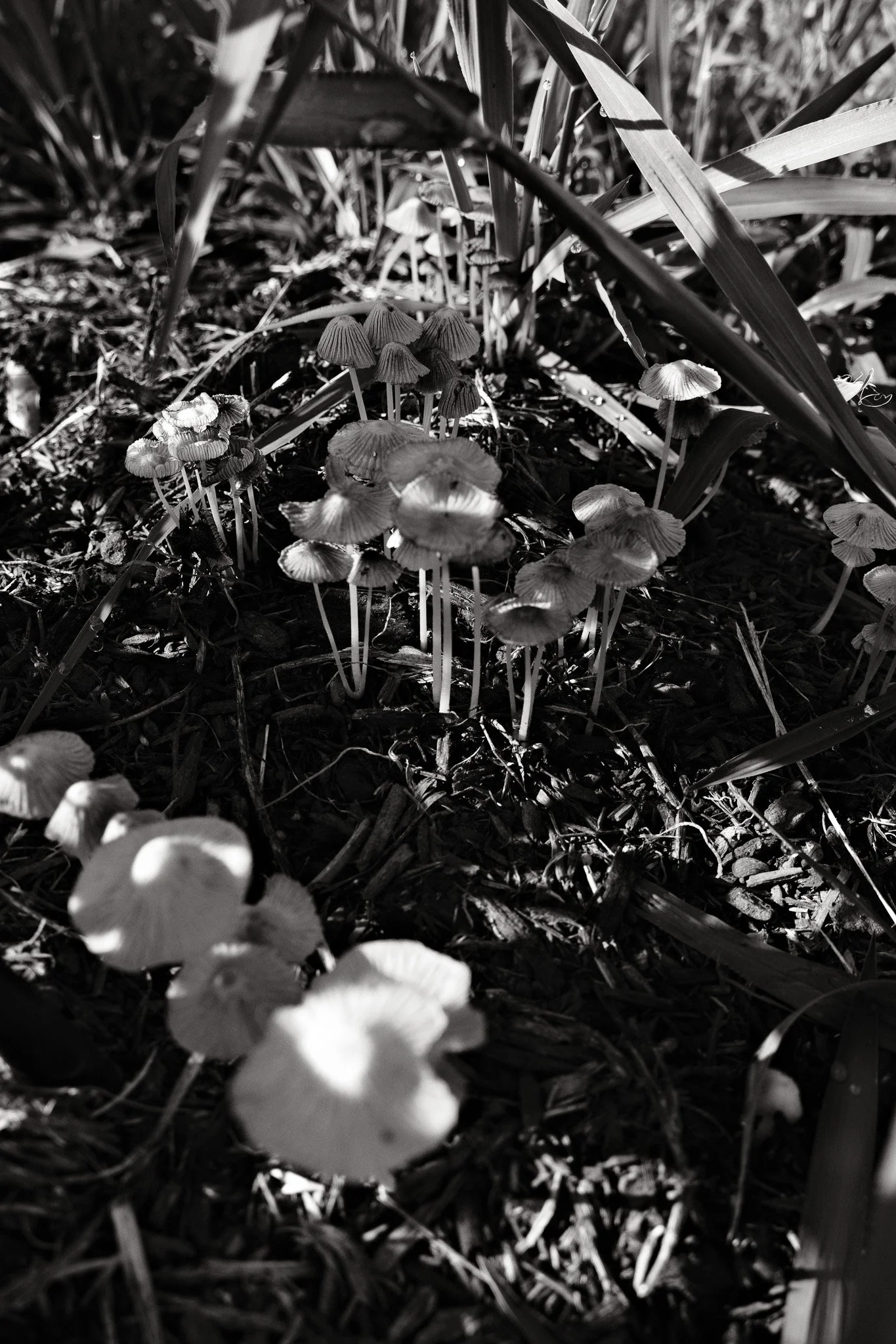 07_18_2026.jpg