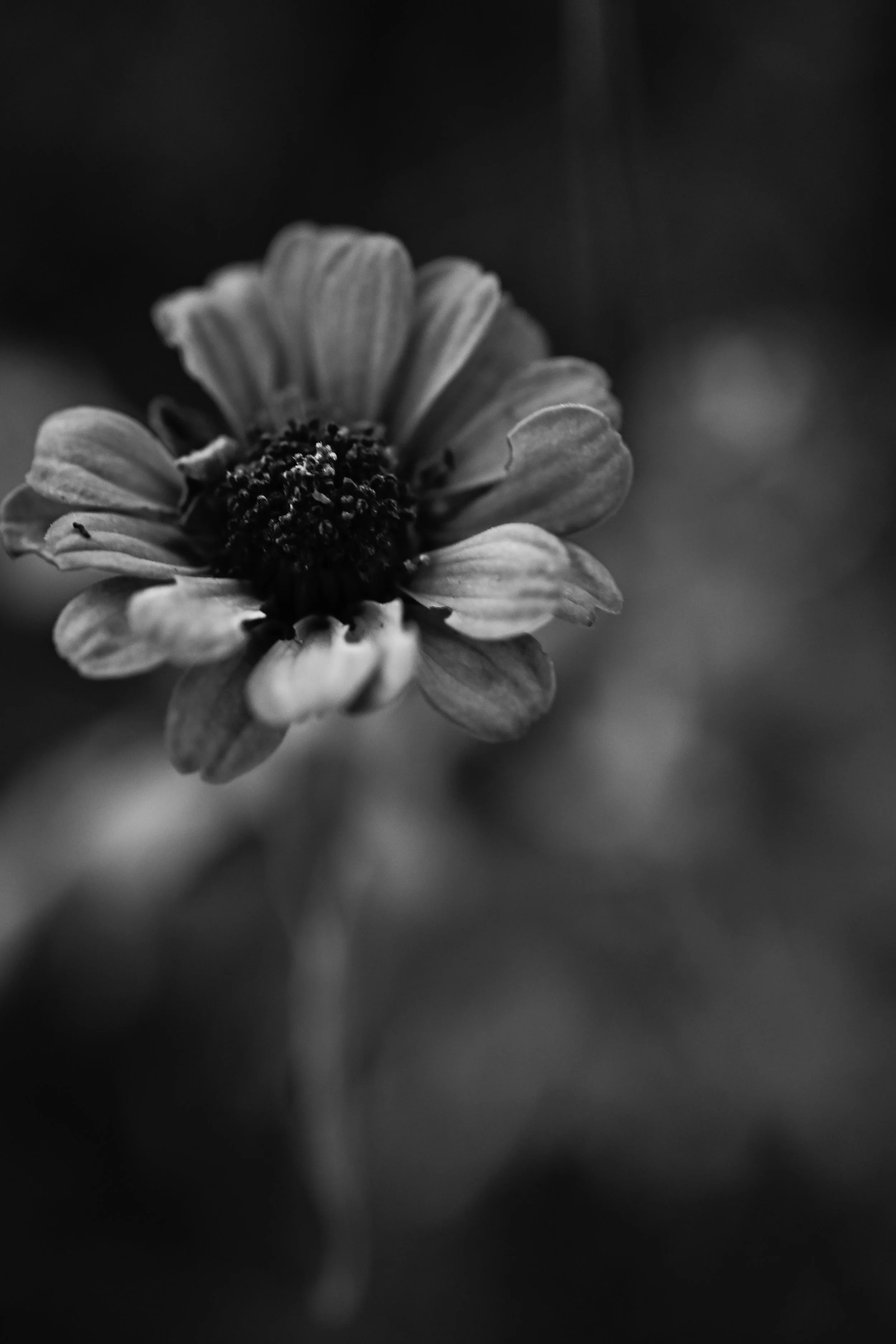 09:21:2026.JPG