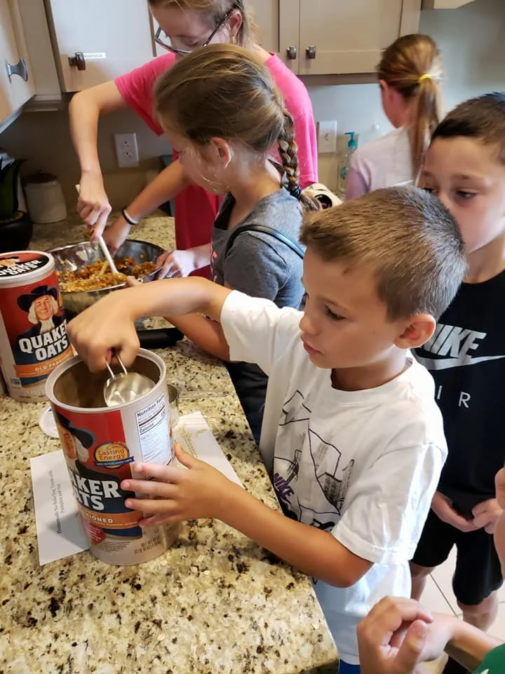 Blankets and Treats for Animals